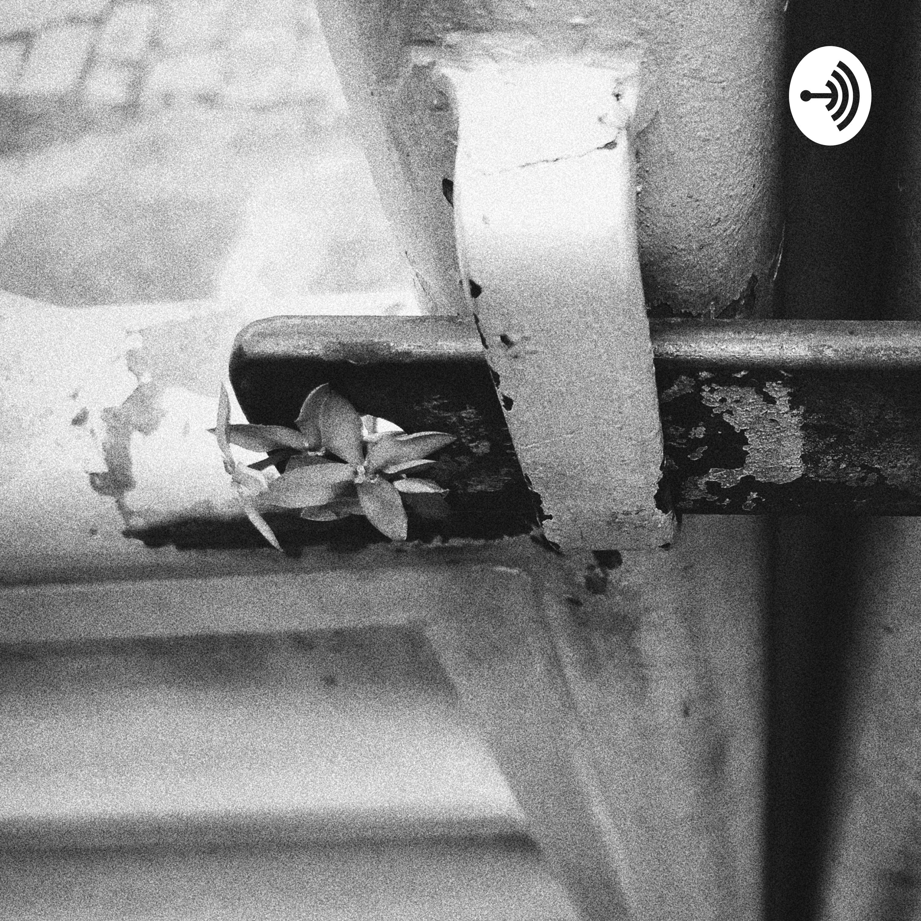 A Hora Da Estrela P. 11