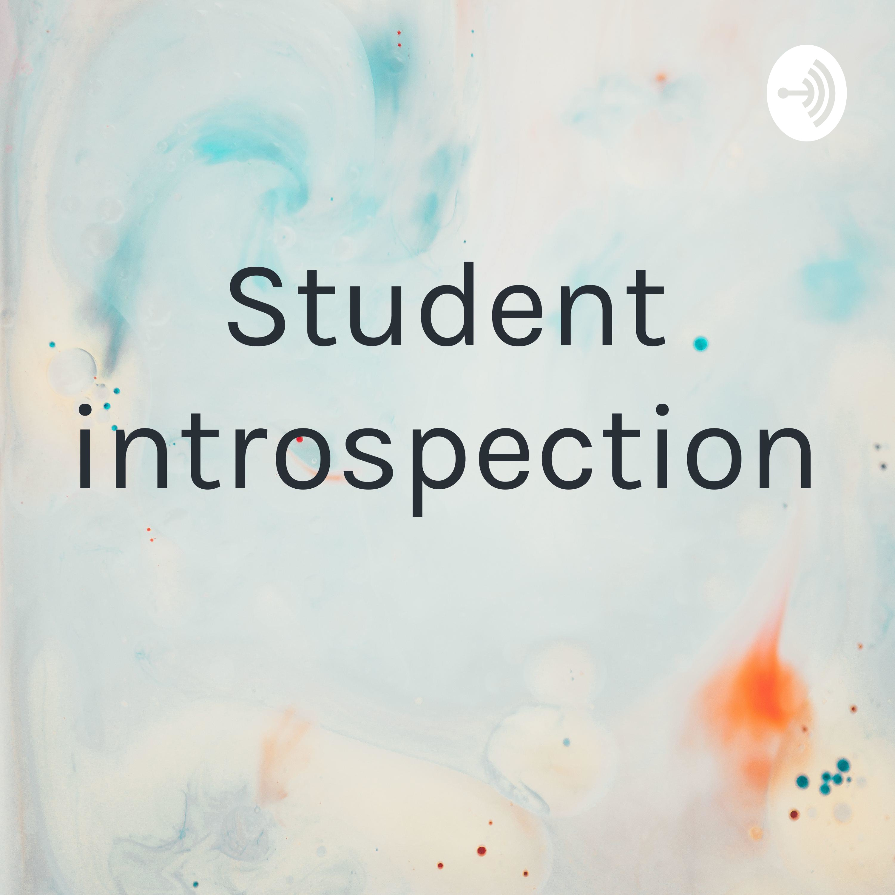 Student introspection