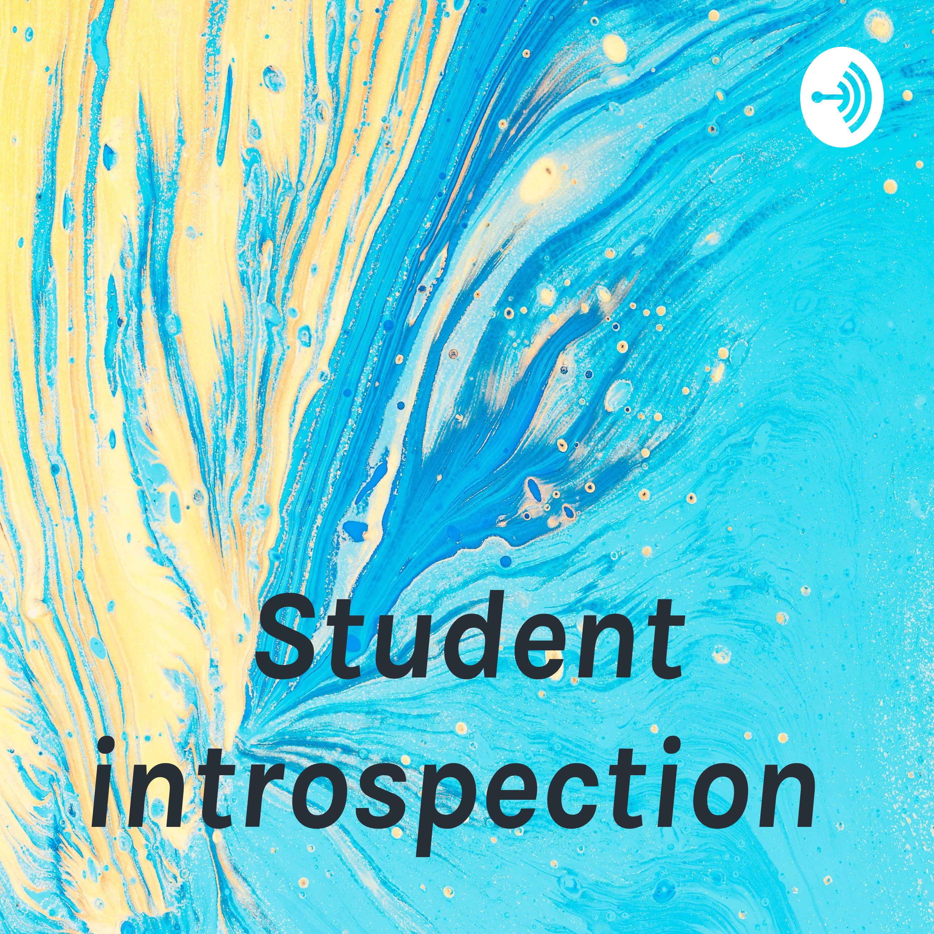 Student introspection