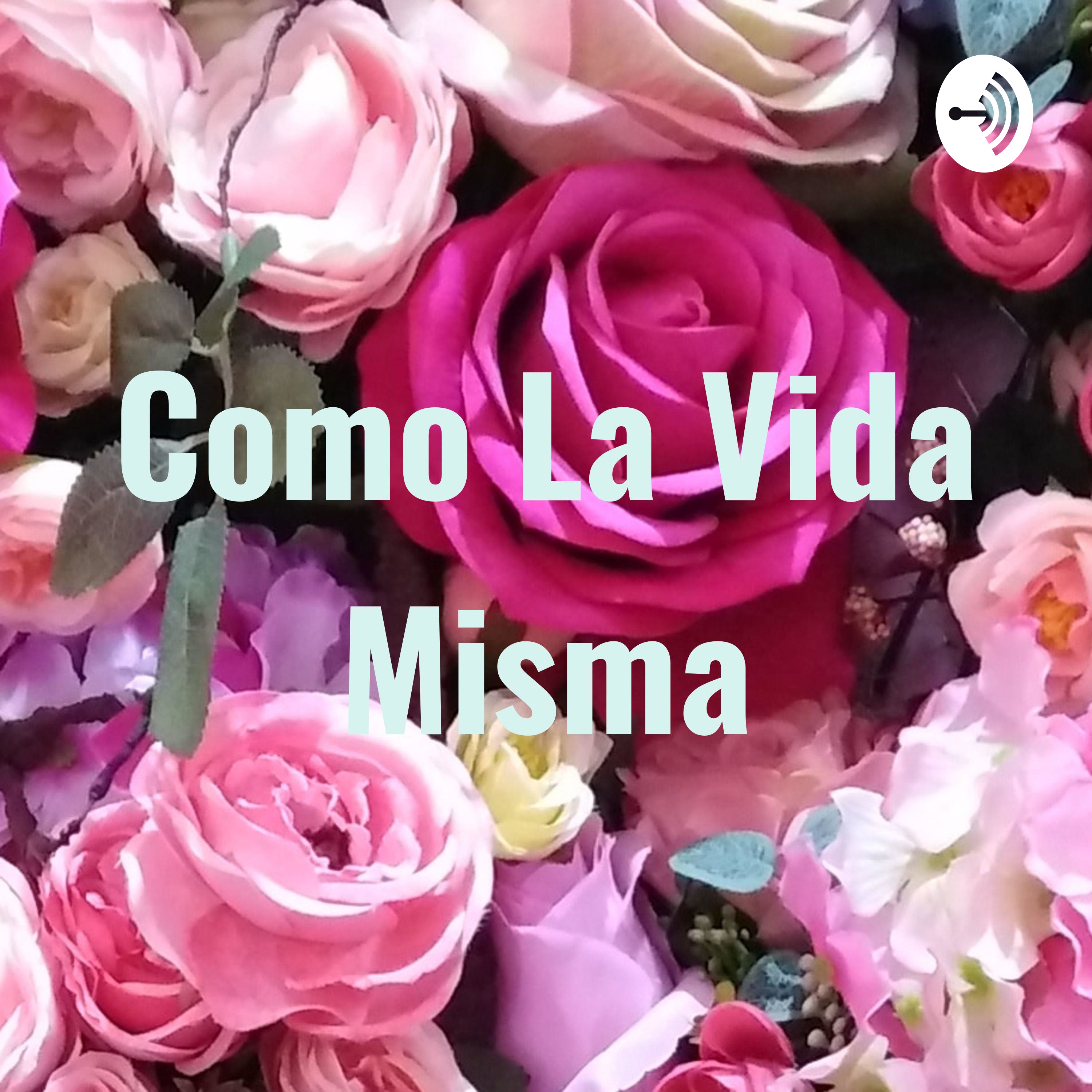 Como La Vida Misma