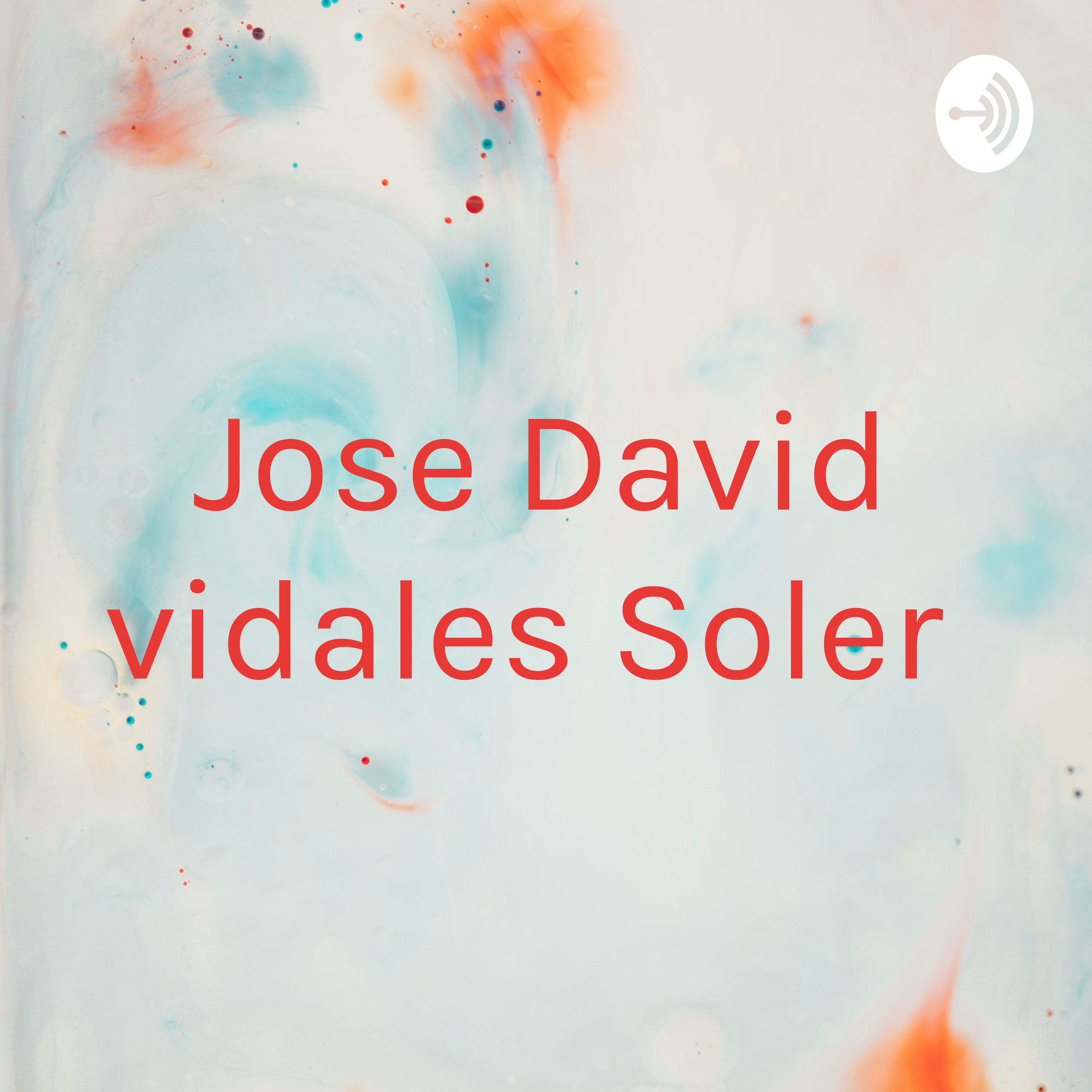 Jose David vidales Soler