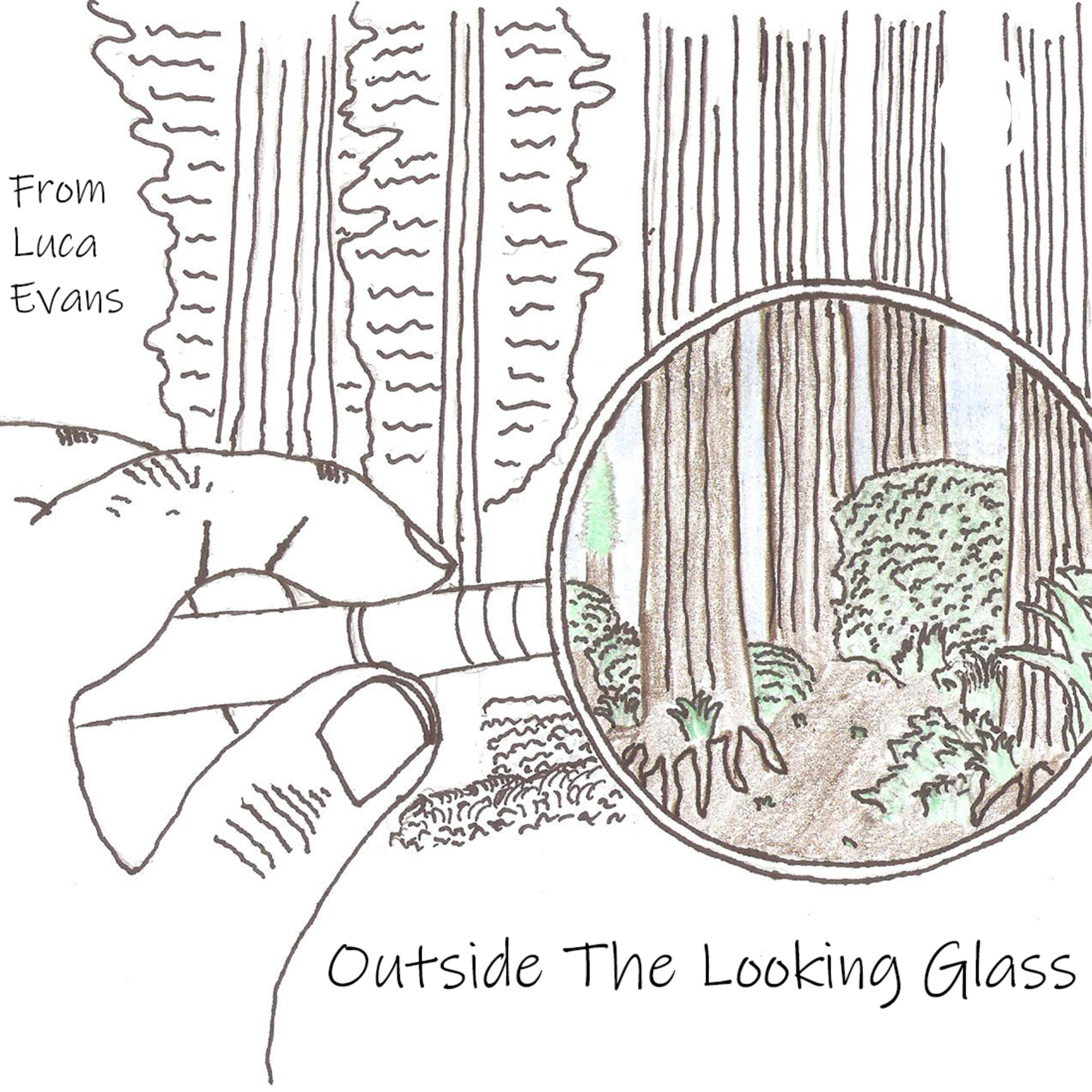 Outside the Looking Glass