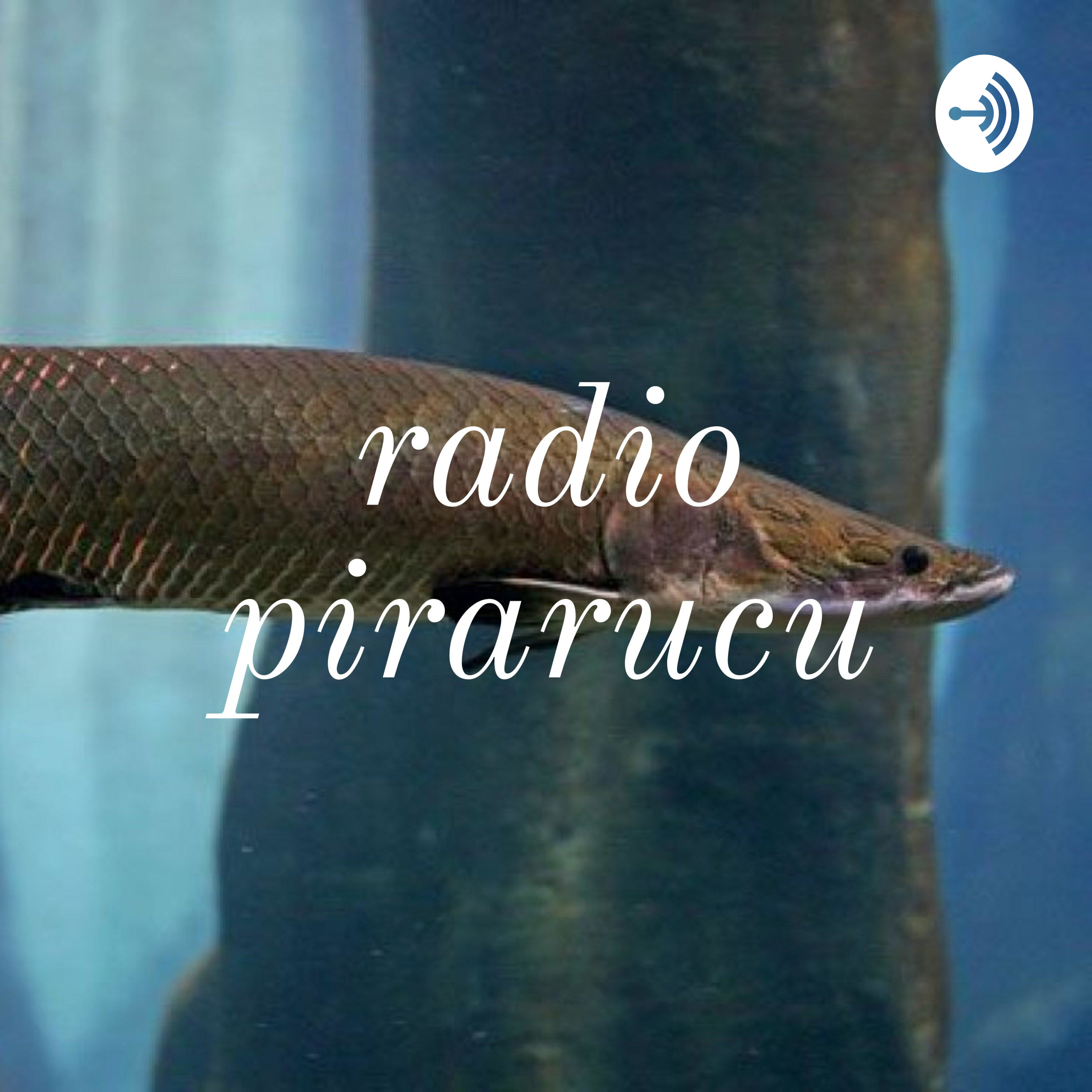 Radio Pirarucu