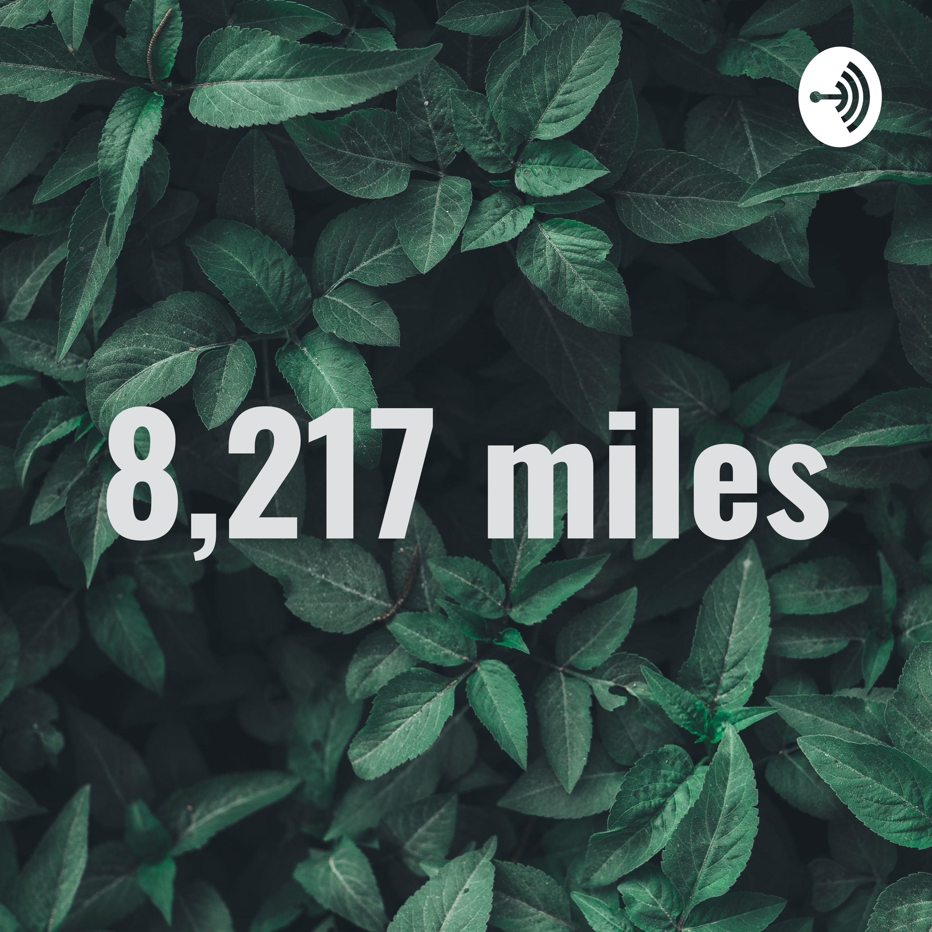8,217 miles