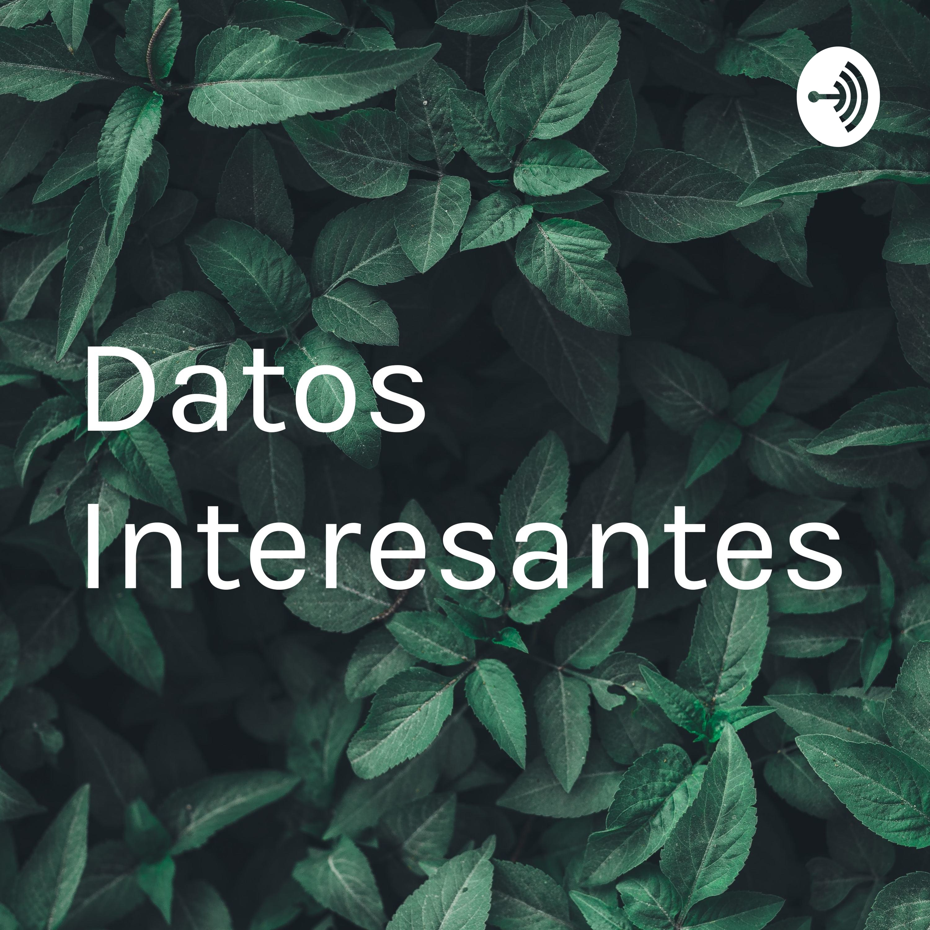 Datos Interesantes