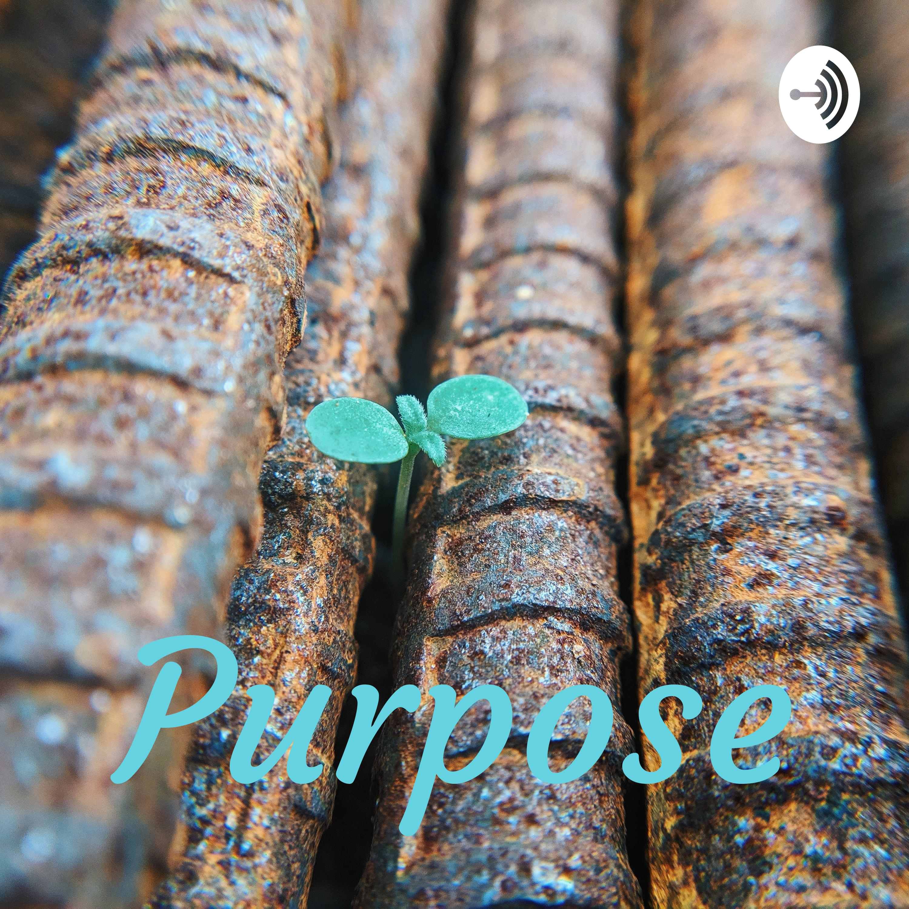 Purpose