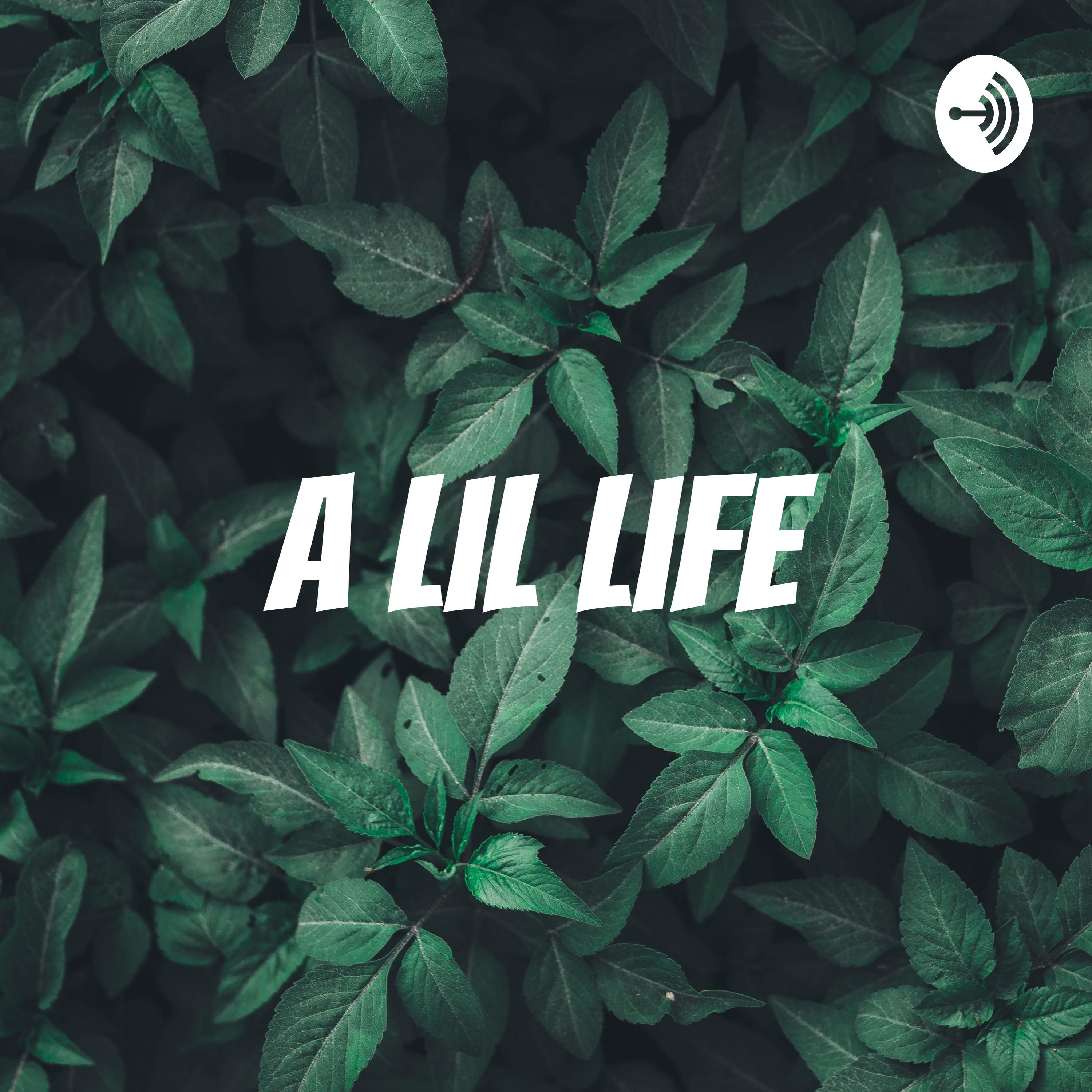 A Lil Life 