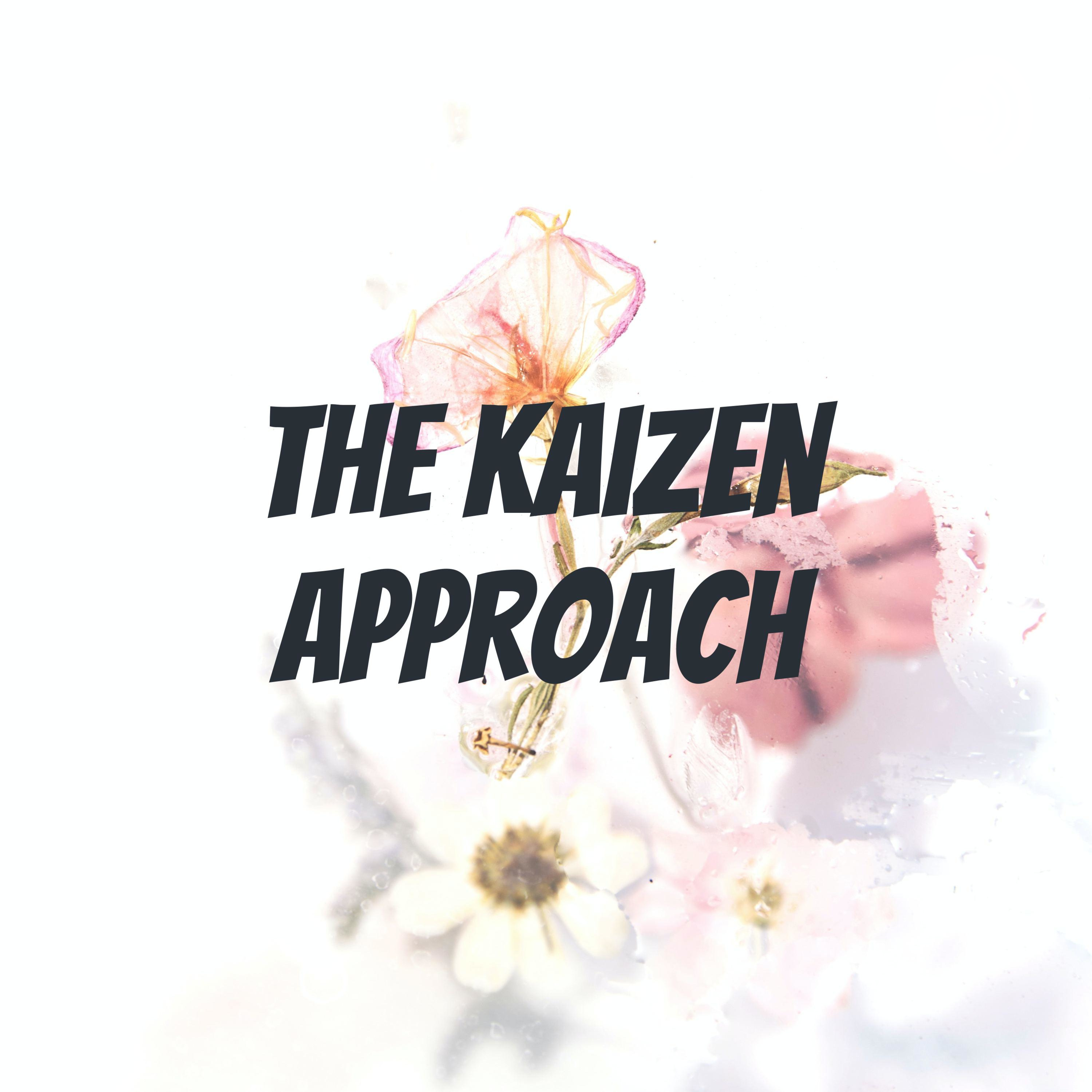 The Kaizen Approach The Kaizen Approach