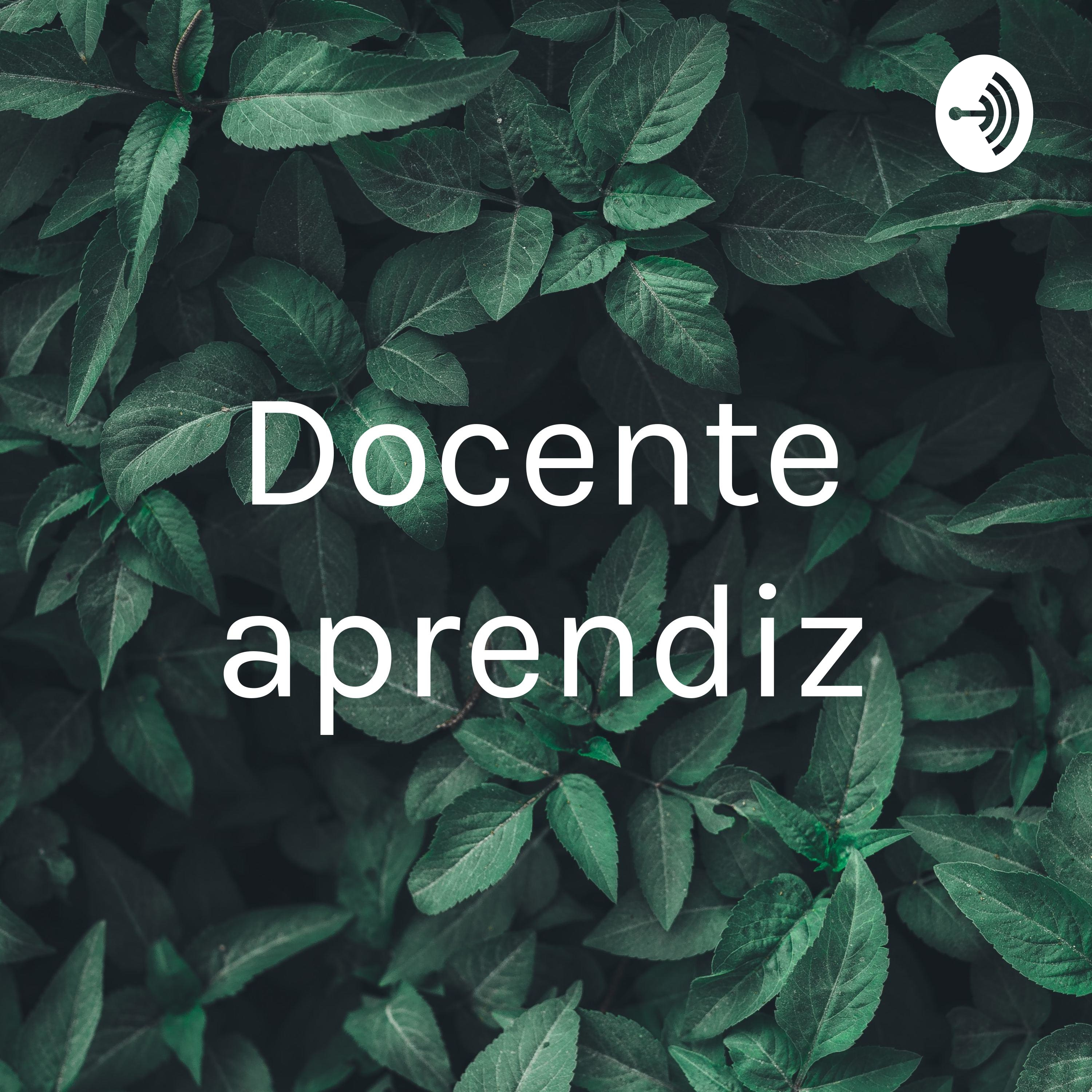 Docente aprendiz