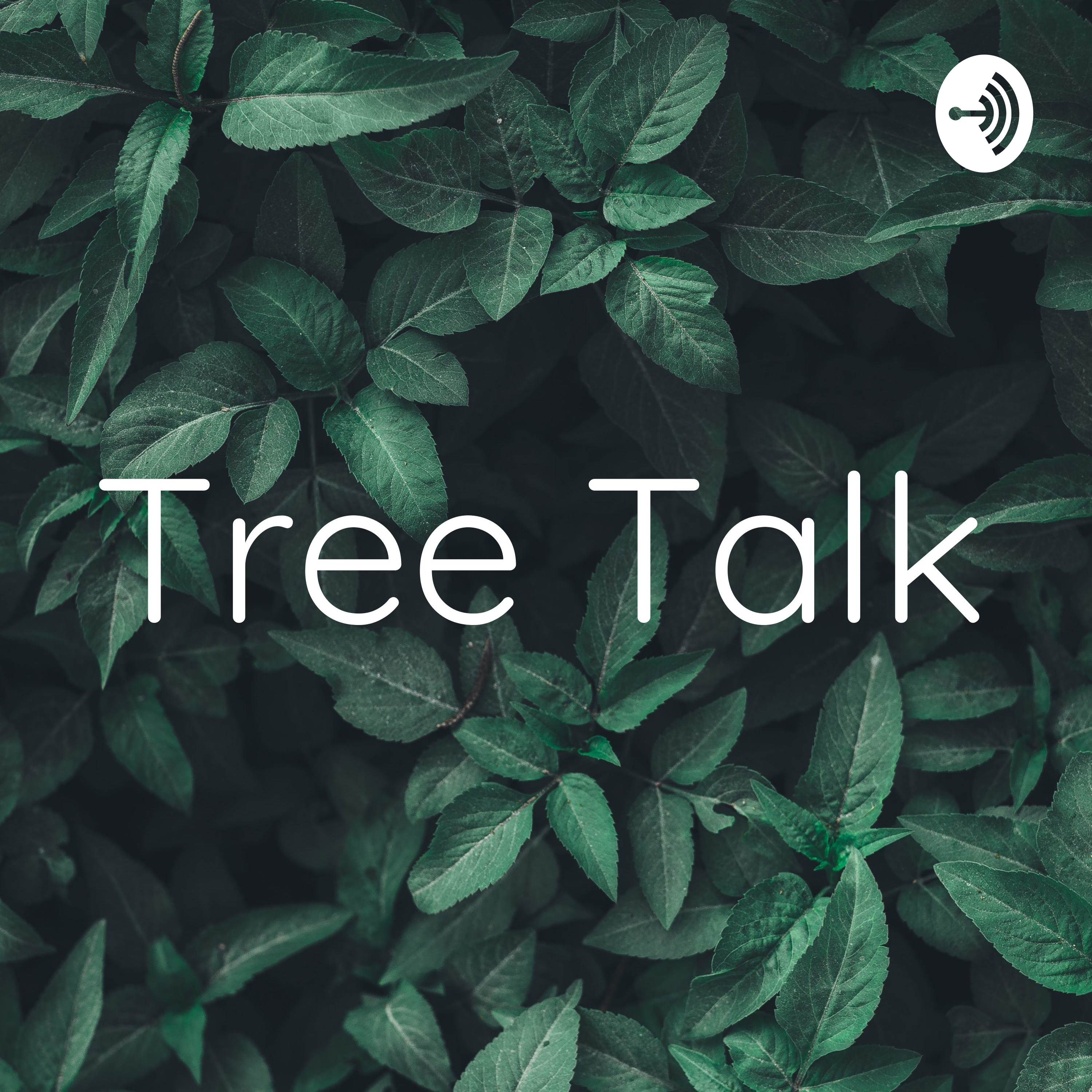 Tree Talk