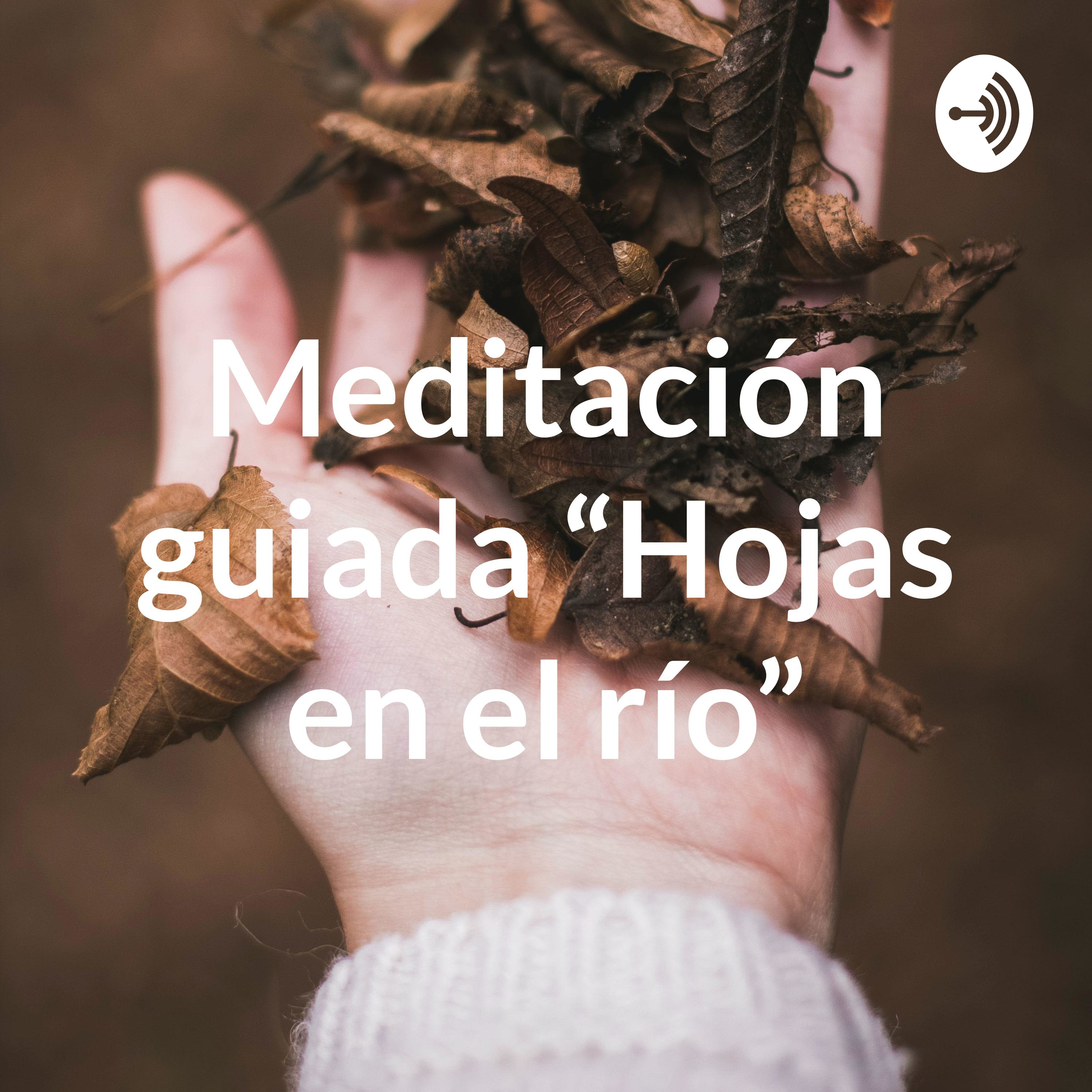 Meditación guiada “Hojas en el río”