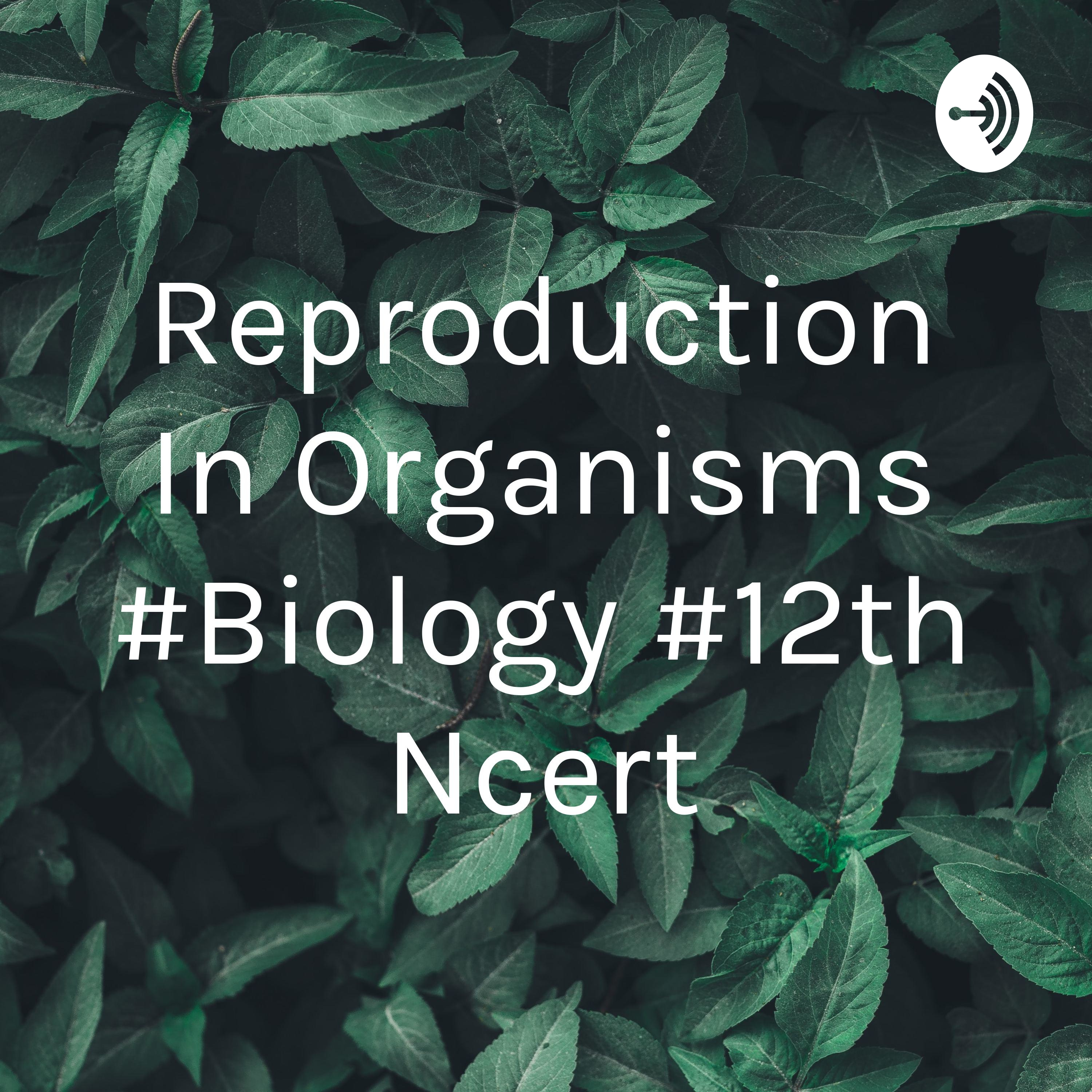 Reproduction In Organisms #Biology #12th Ncert