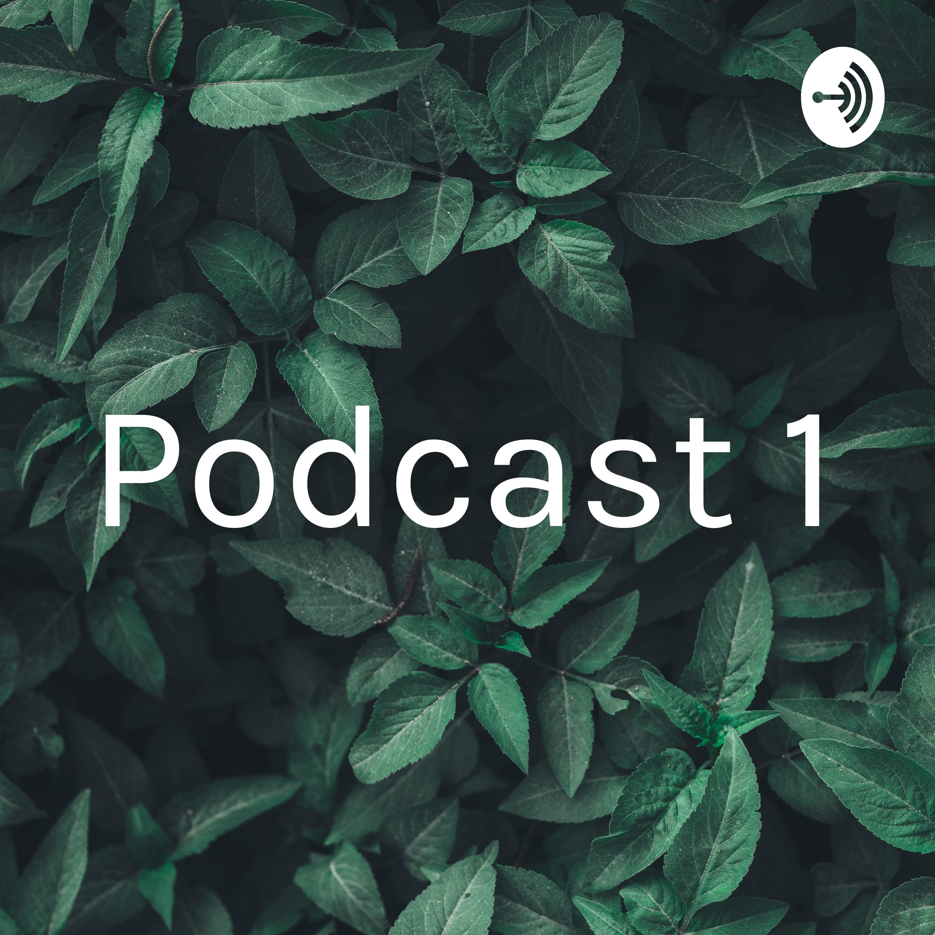 Podcast 1