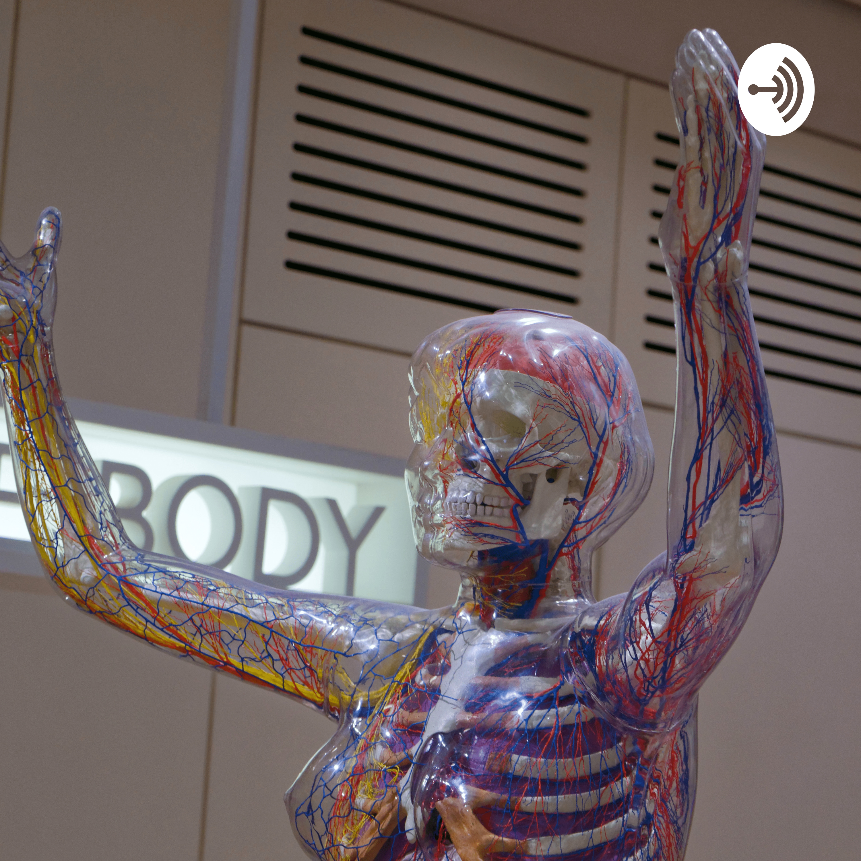 The Indepth Look Into Nervous Tissues