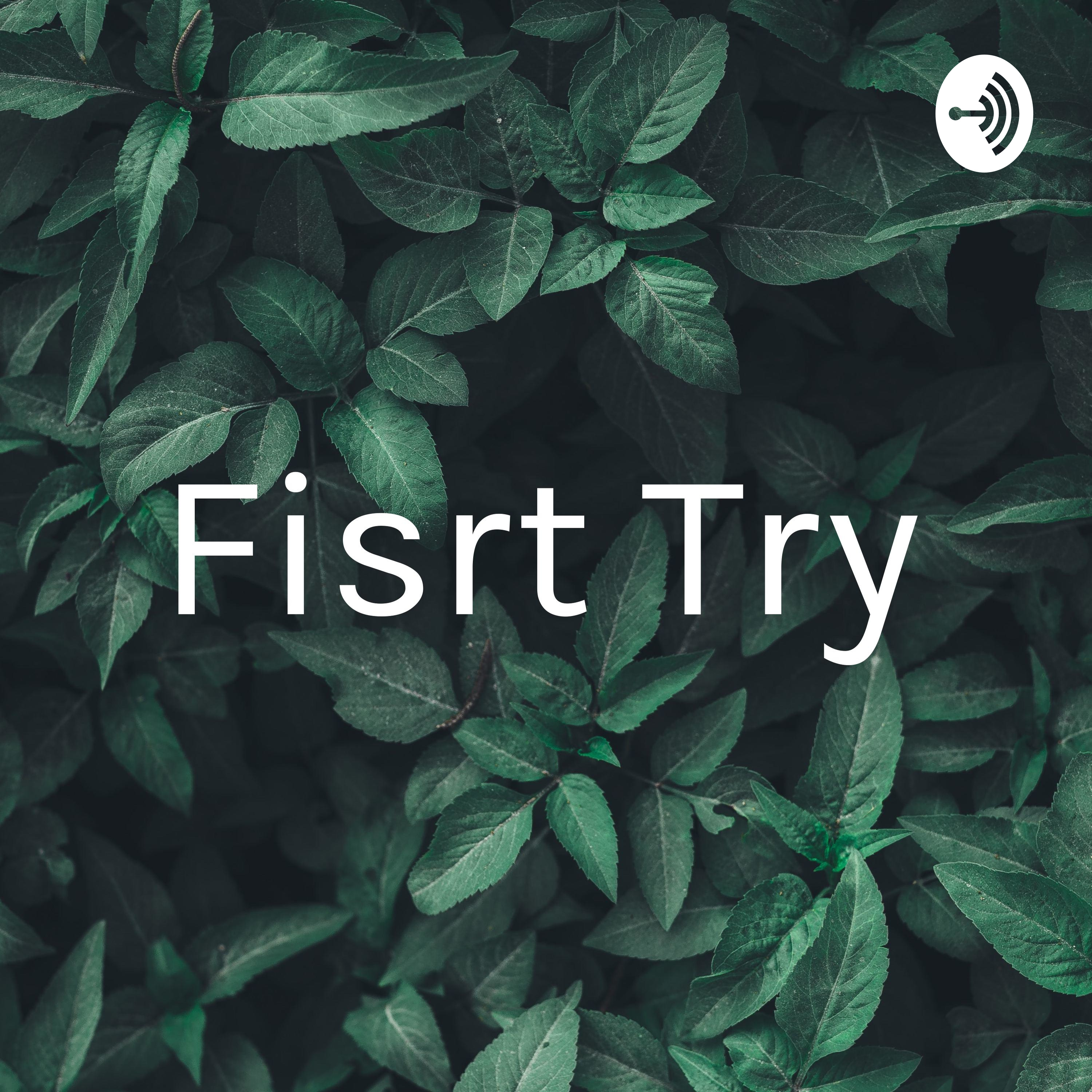 Fisrt Try