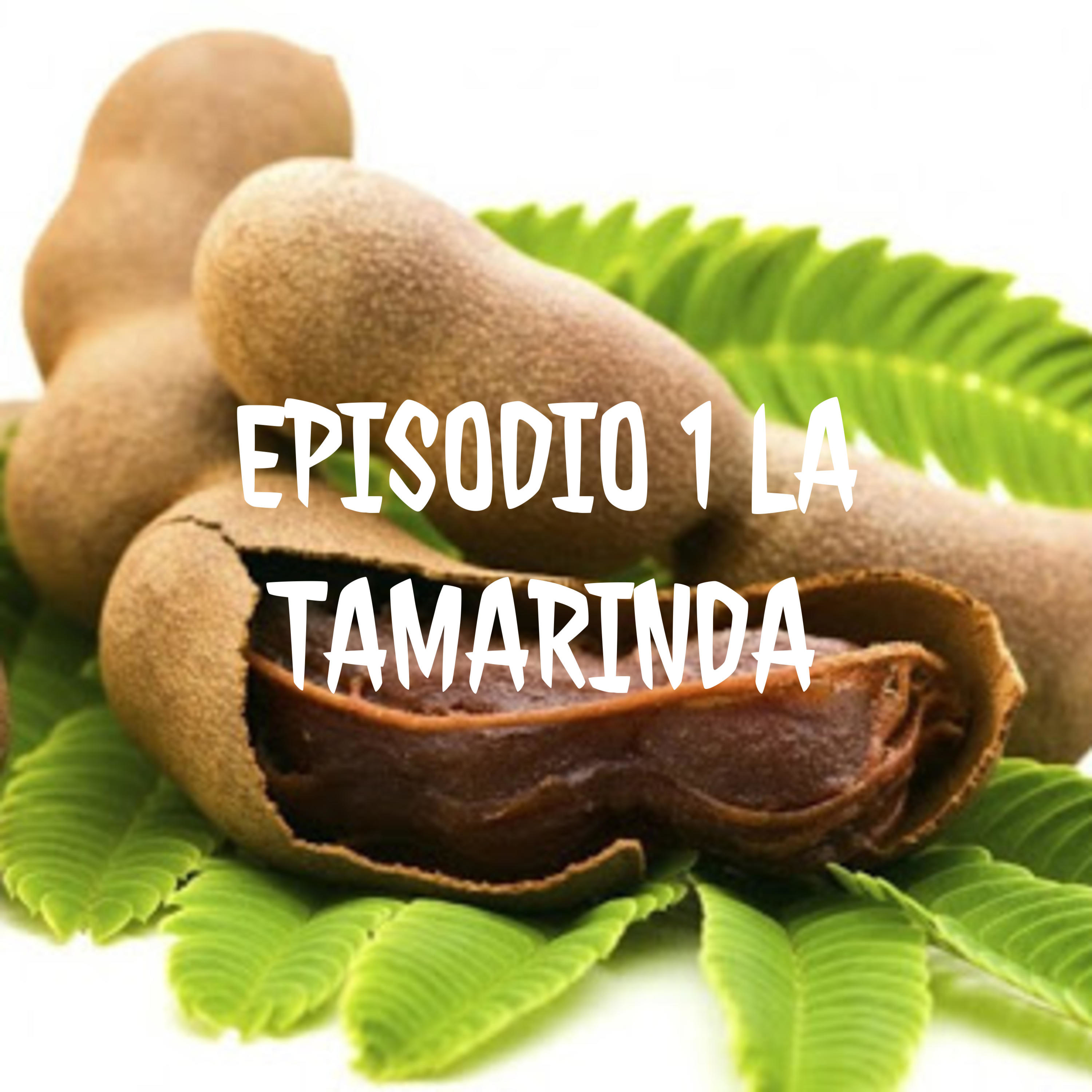 EPISODIO 1 LA TAMARINDA
