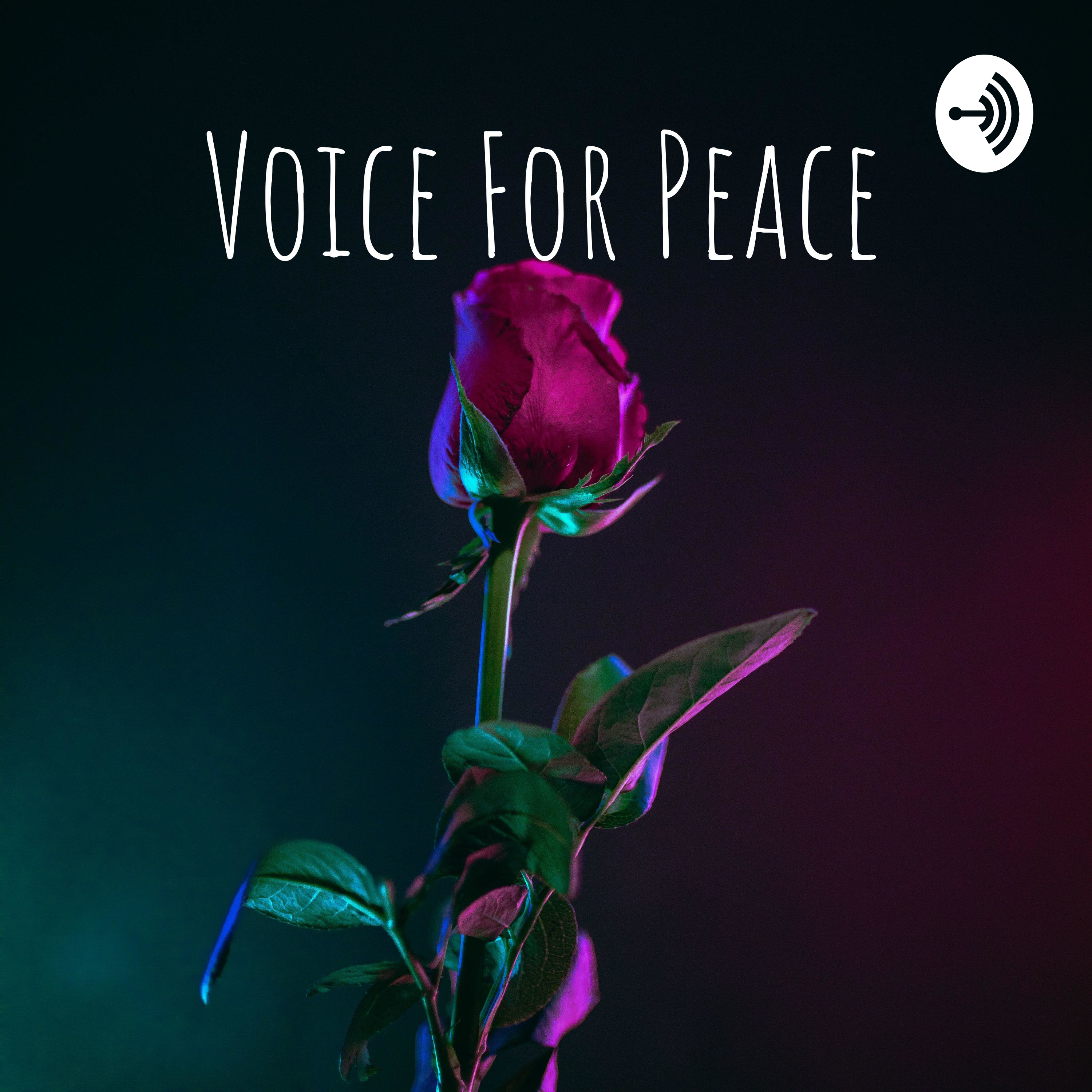 Voice For Peace