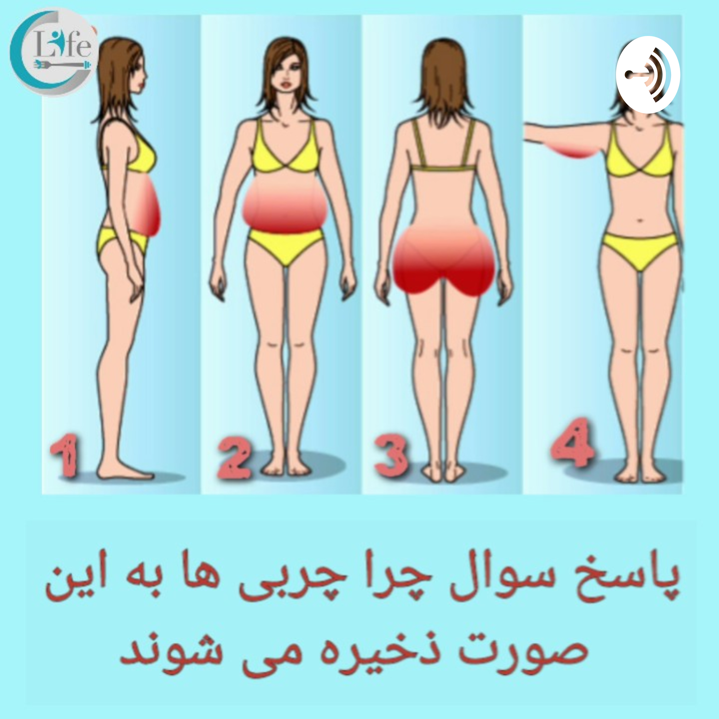 کاور چرا چربی ها در پهلو ها ذخیره می شوند؟