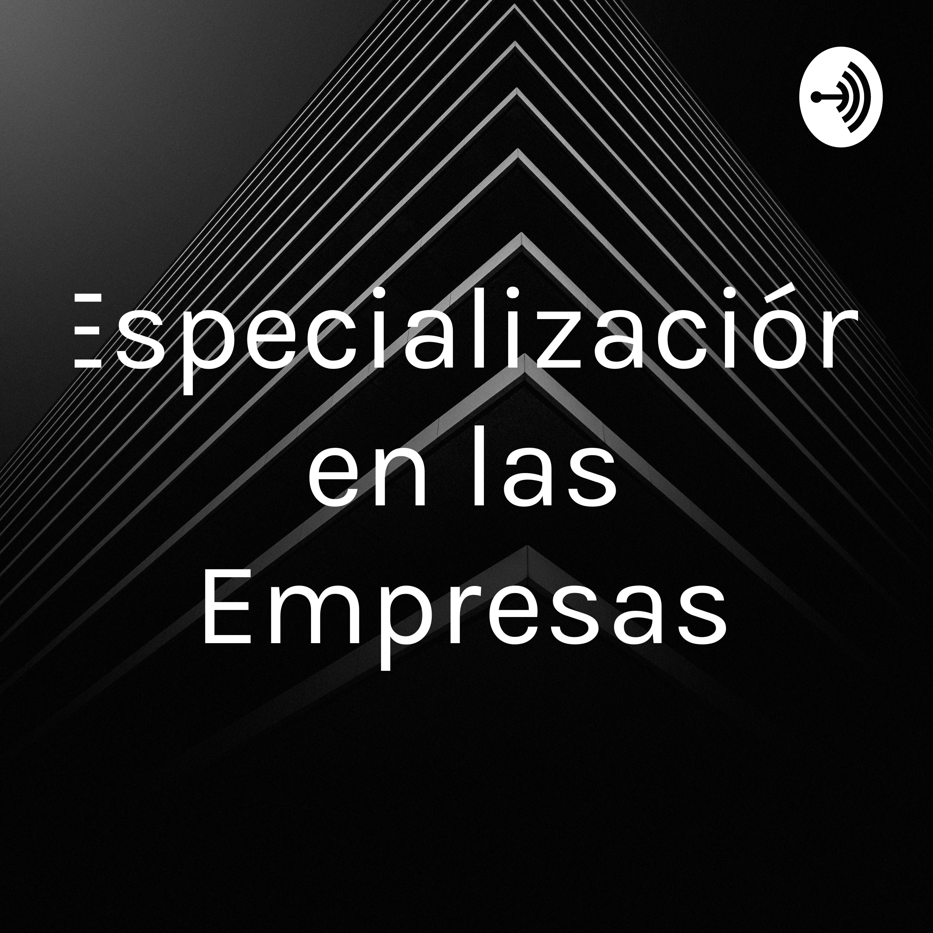 Especializaci&oacute;n en las Empresas
