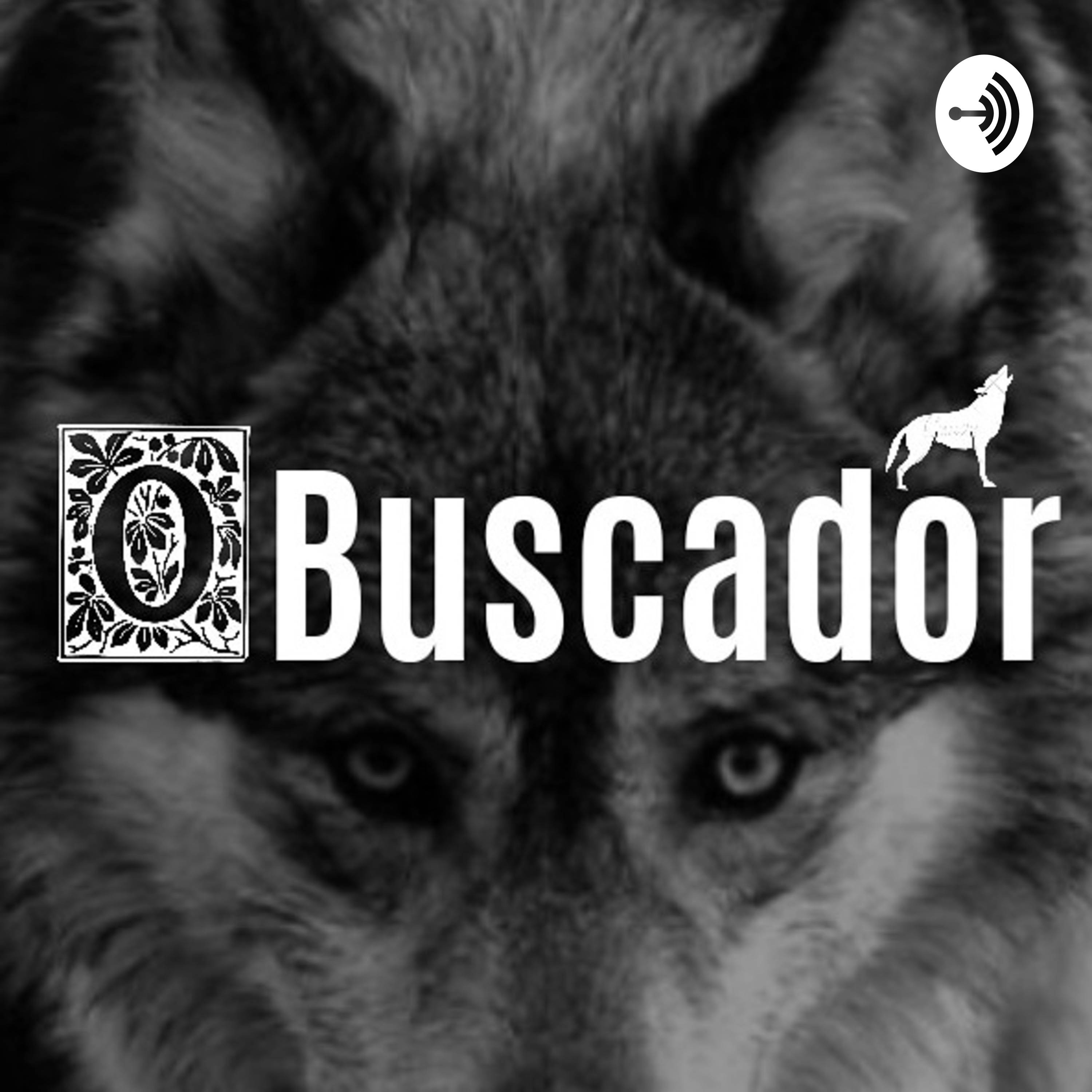 O Buscador
