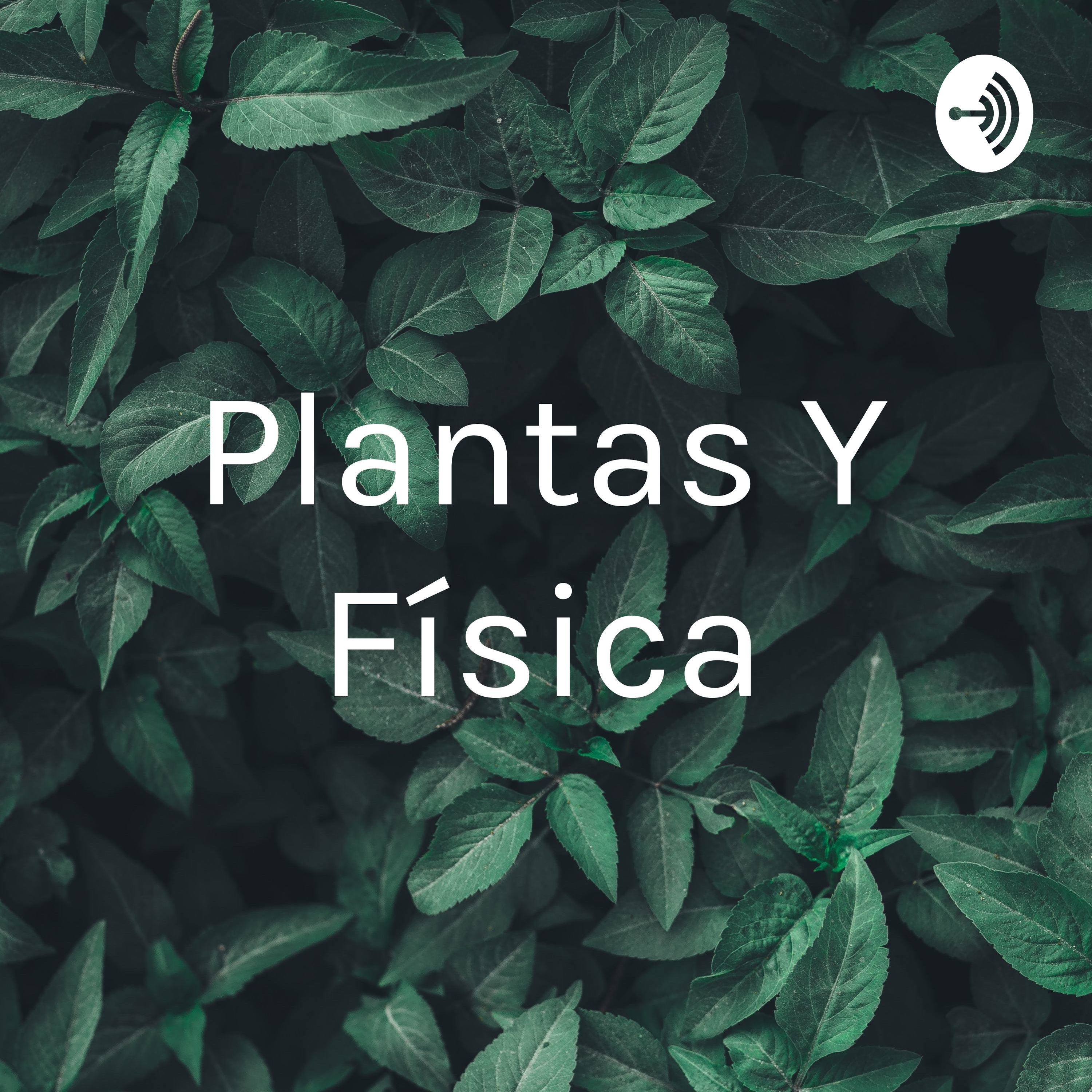 Plantas Y Física