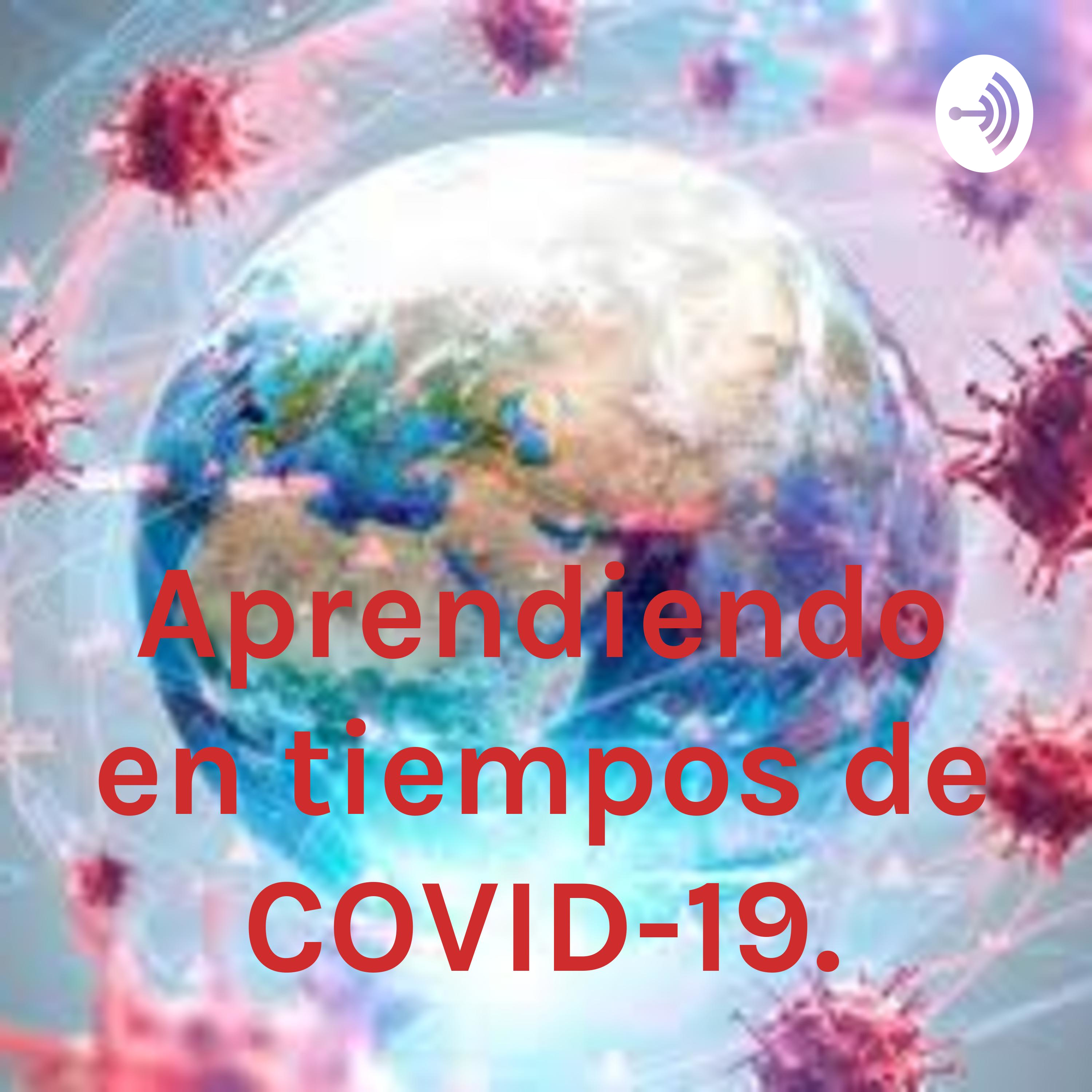 Aprendiendo en tiempos de COVID-19.