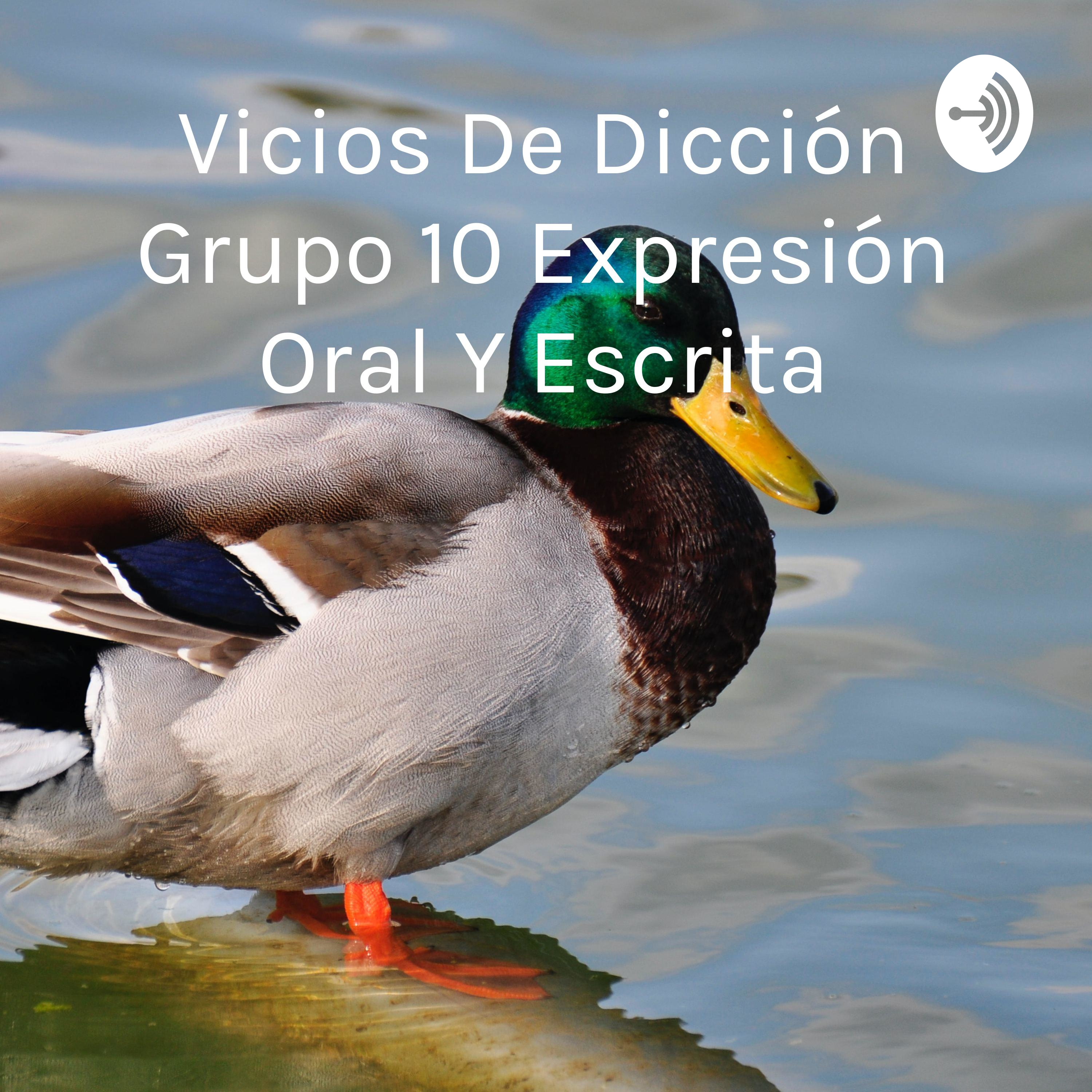 Vicios De Dicción Grupo 10 Expresión Oral Y Escrita