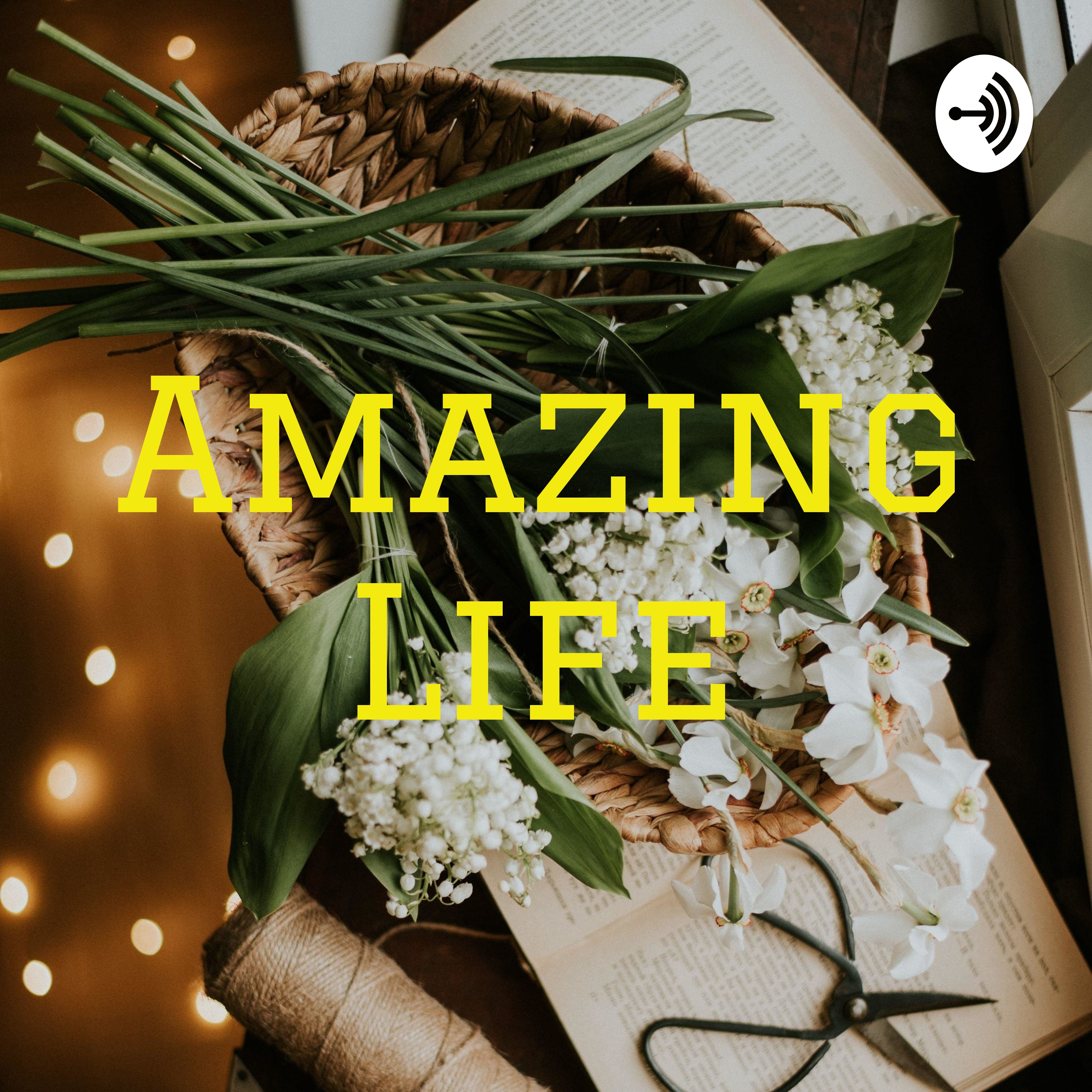 Amazing Life