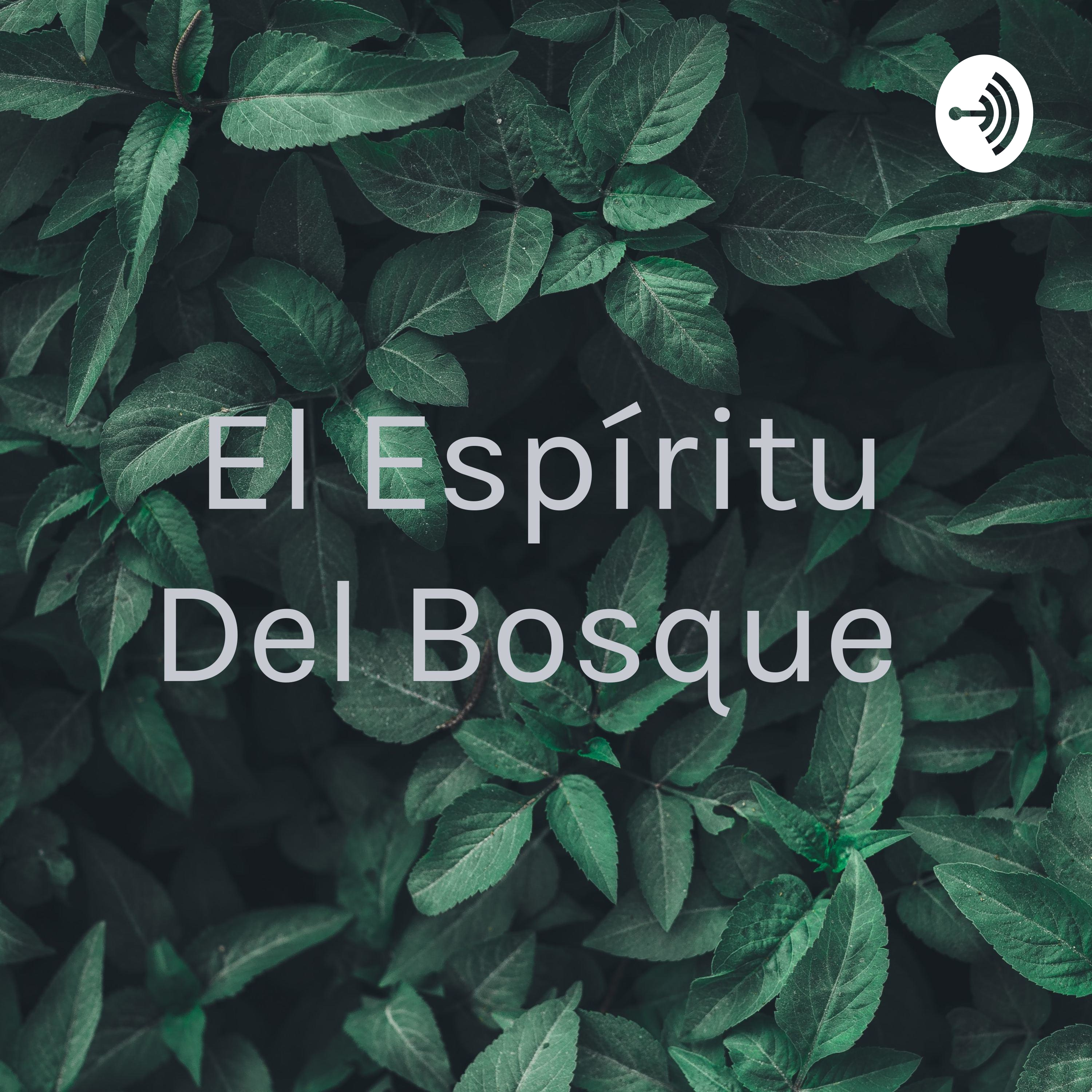 El Espíritu Del Bosque