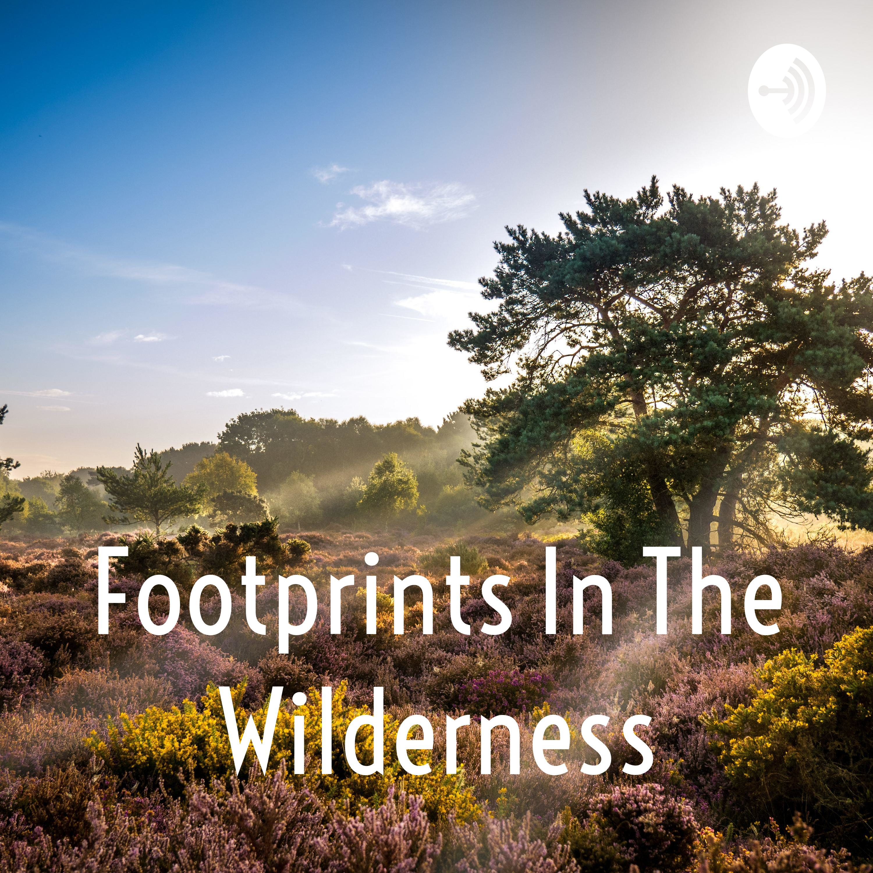 Footprints In The Wilderness