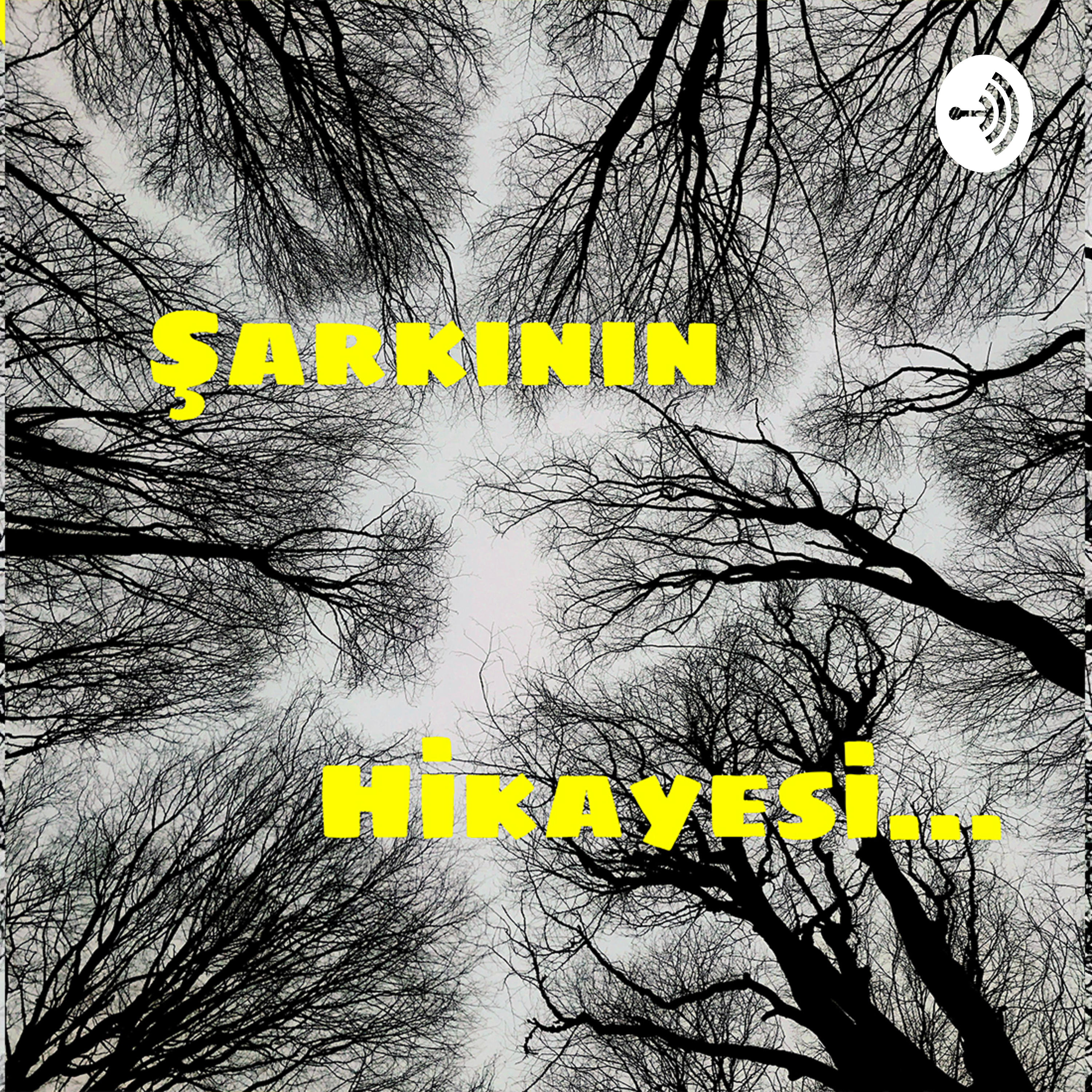 Şarkının Hikayesi podcast artwork