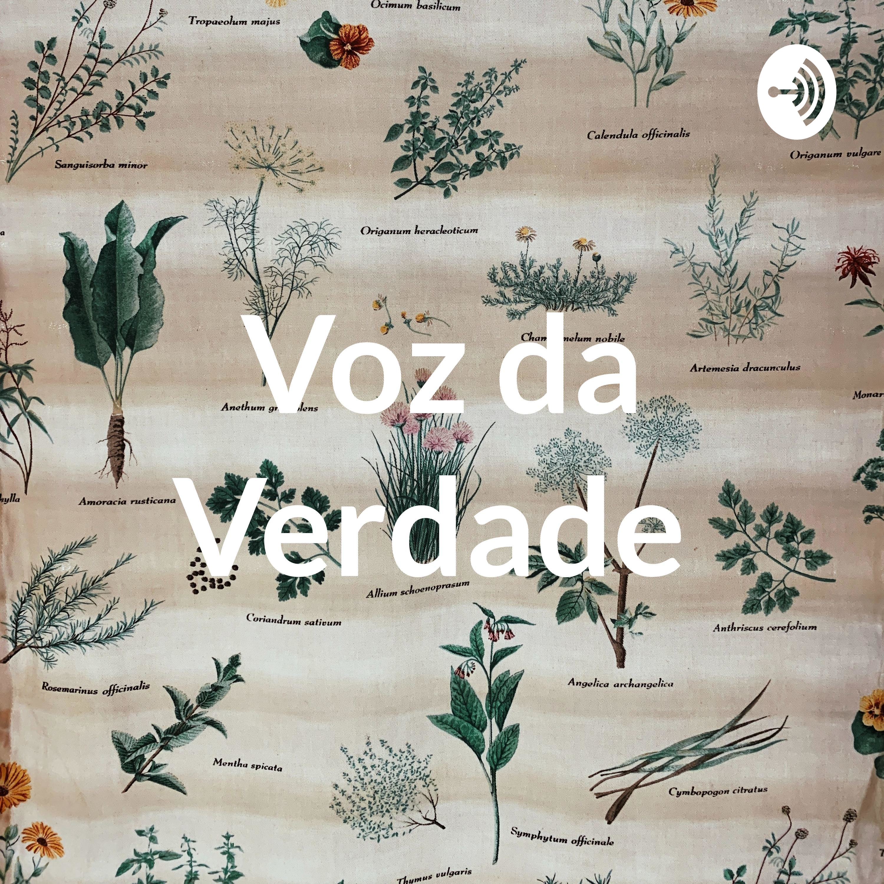 Voz da Verdade