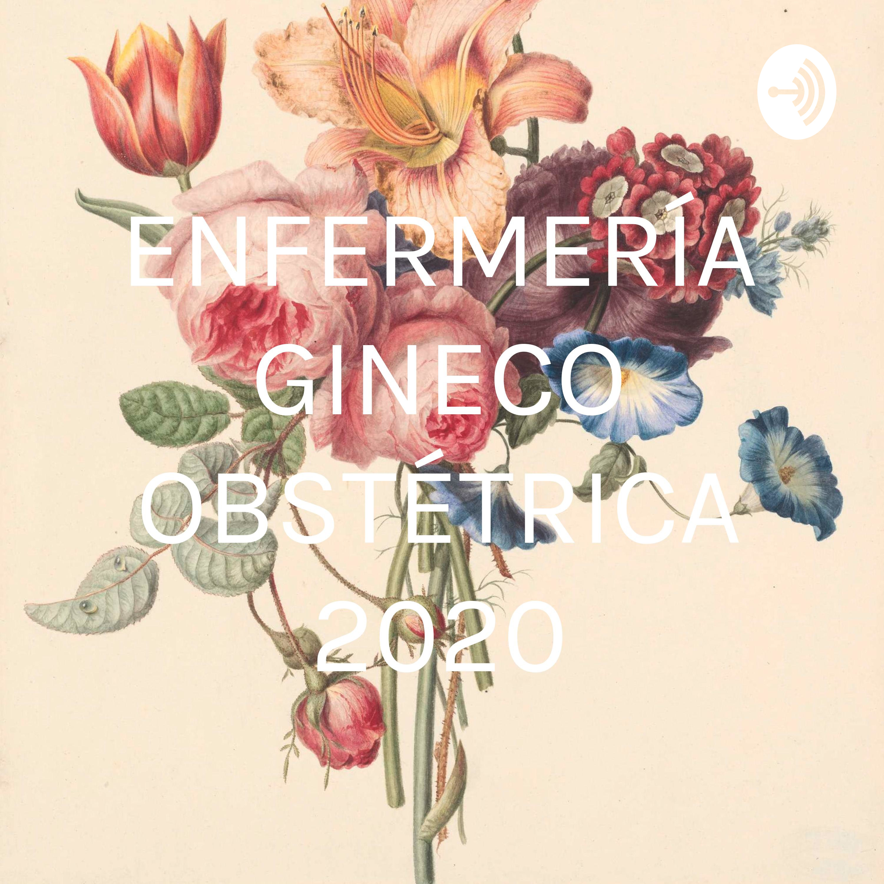 ENFERMERÍA GINECO OBSTÉTRICA 2020