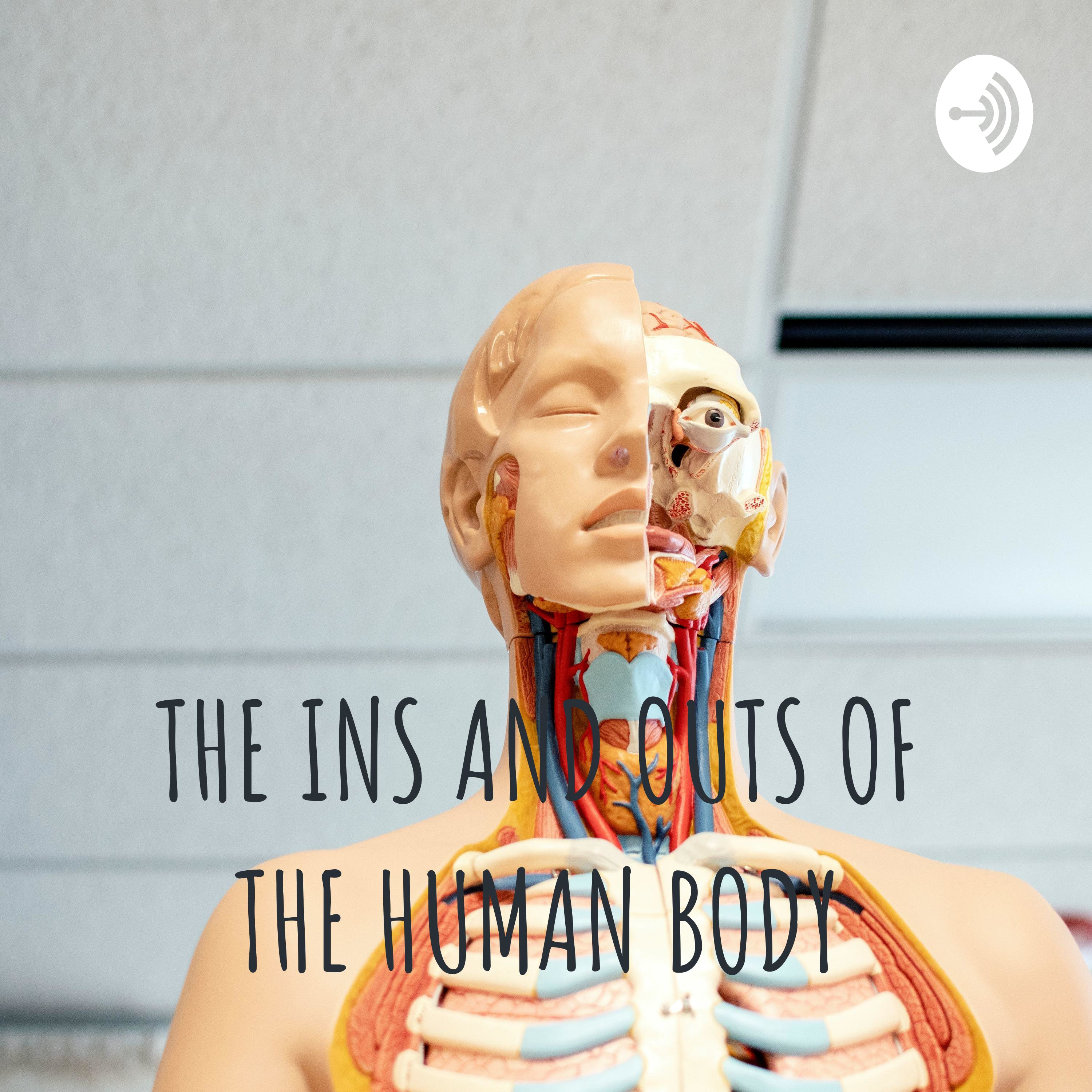 THE INS AND OUTS OF THE HUMAN BODY cover art