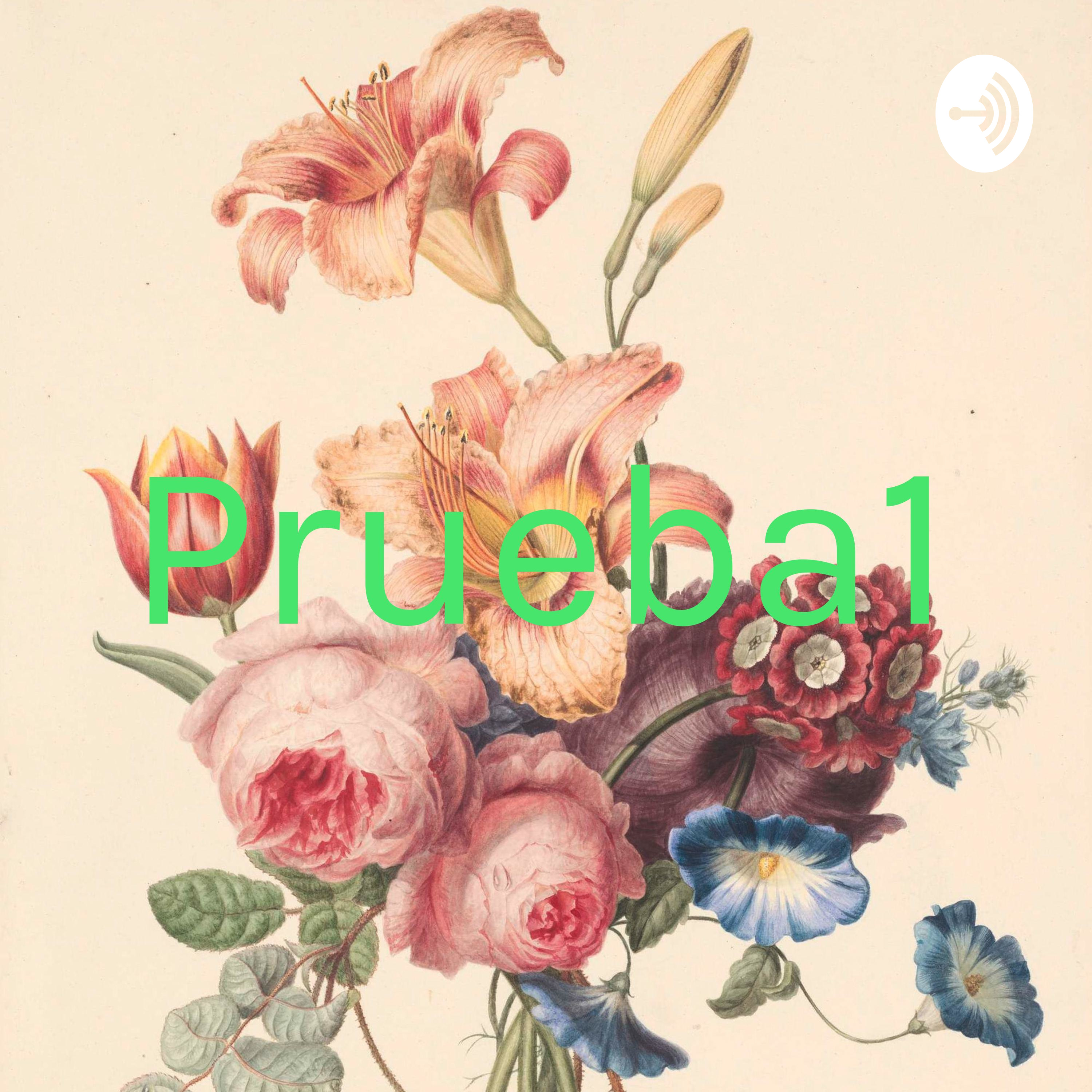 Prueba1 podcast artwork