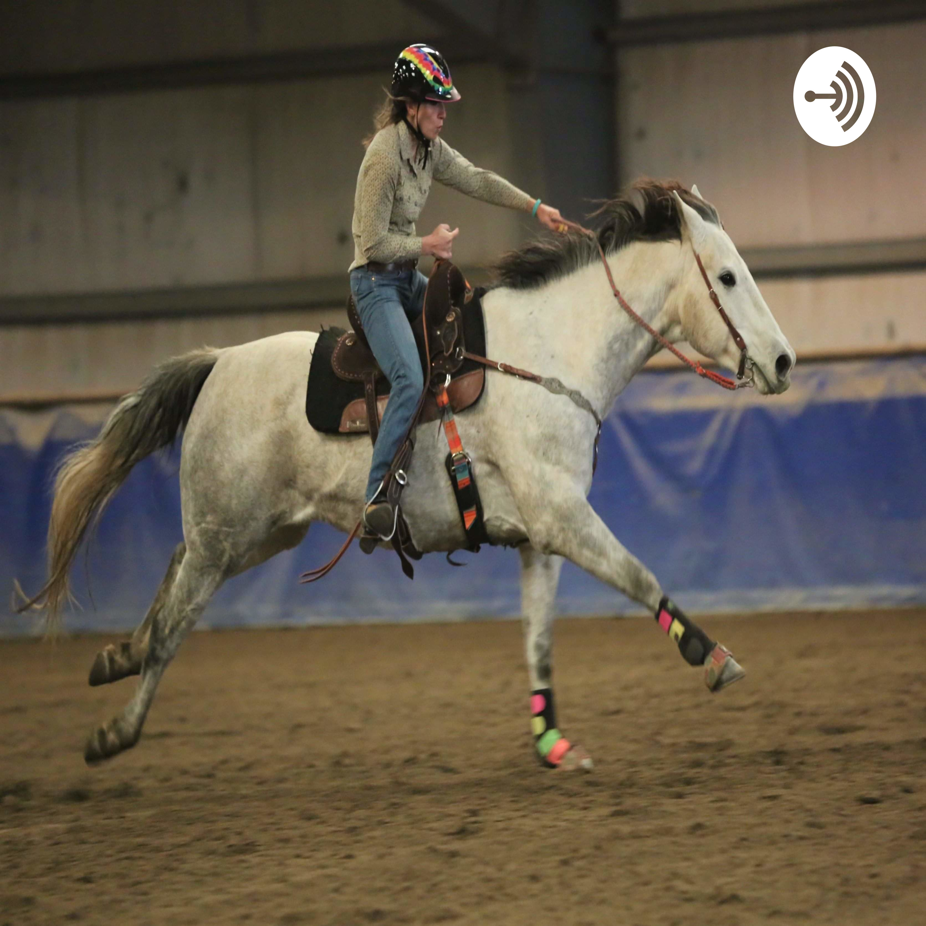 Hilary Nickol & Nickol, Dime And Quarter Horses 