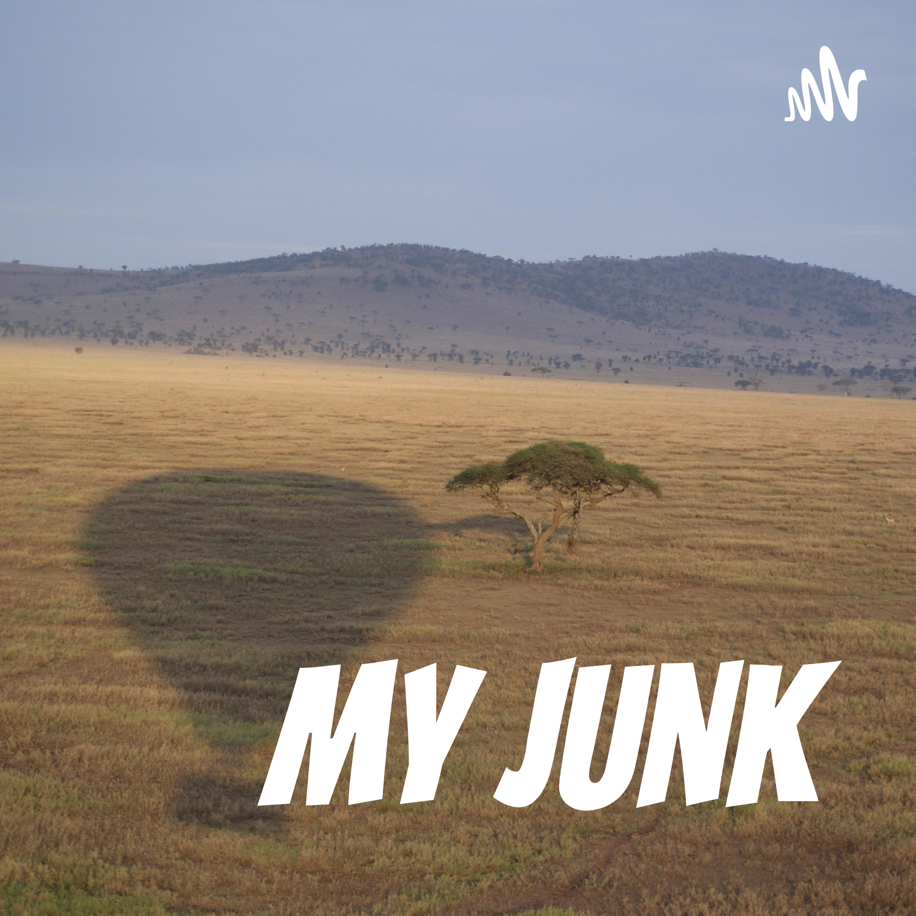 My Junk podcast artwork