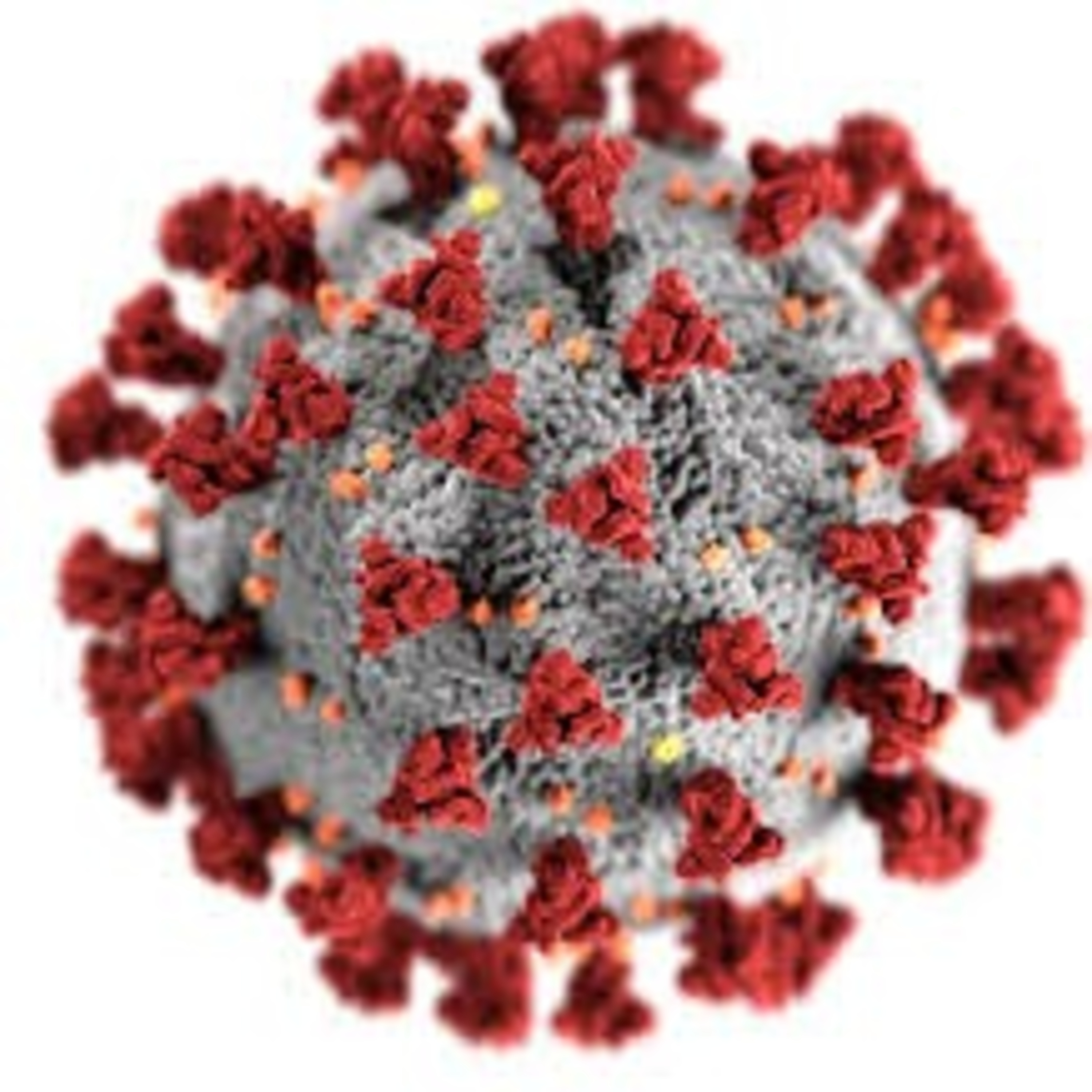 PRUEBAS DE LABORATORIO EMPLEADAS PARA DIAGNOSTICAR COVID-19