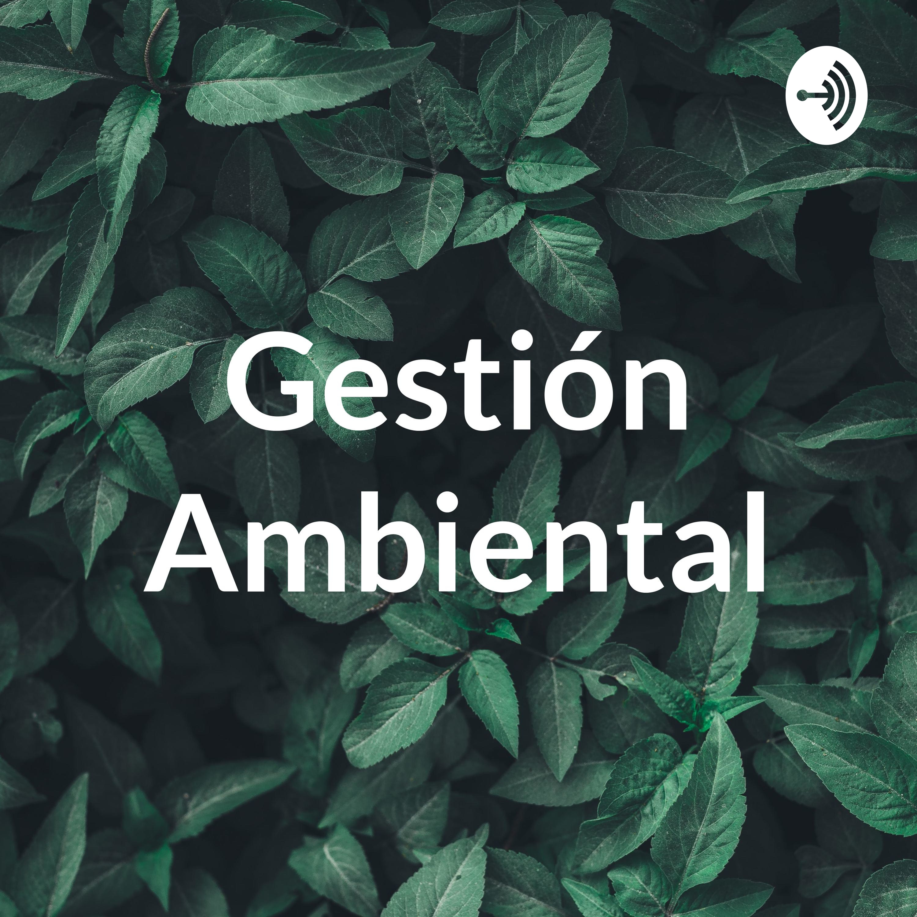 Gestión Ambiental
