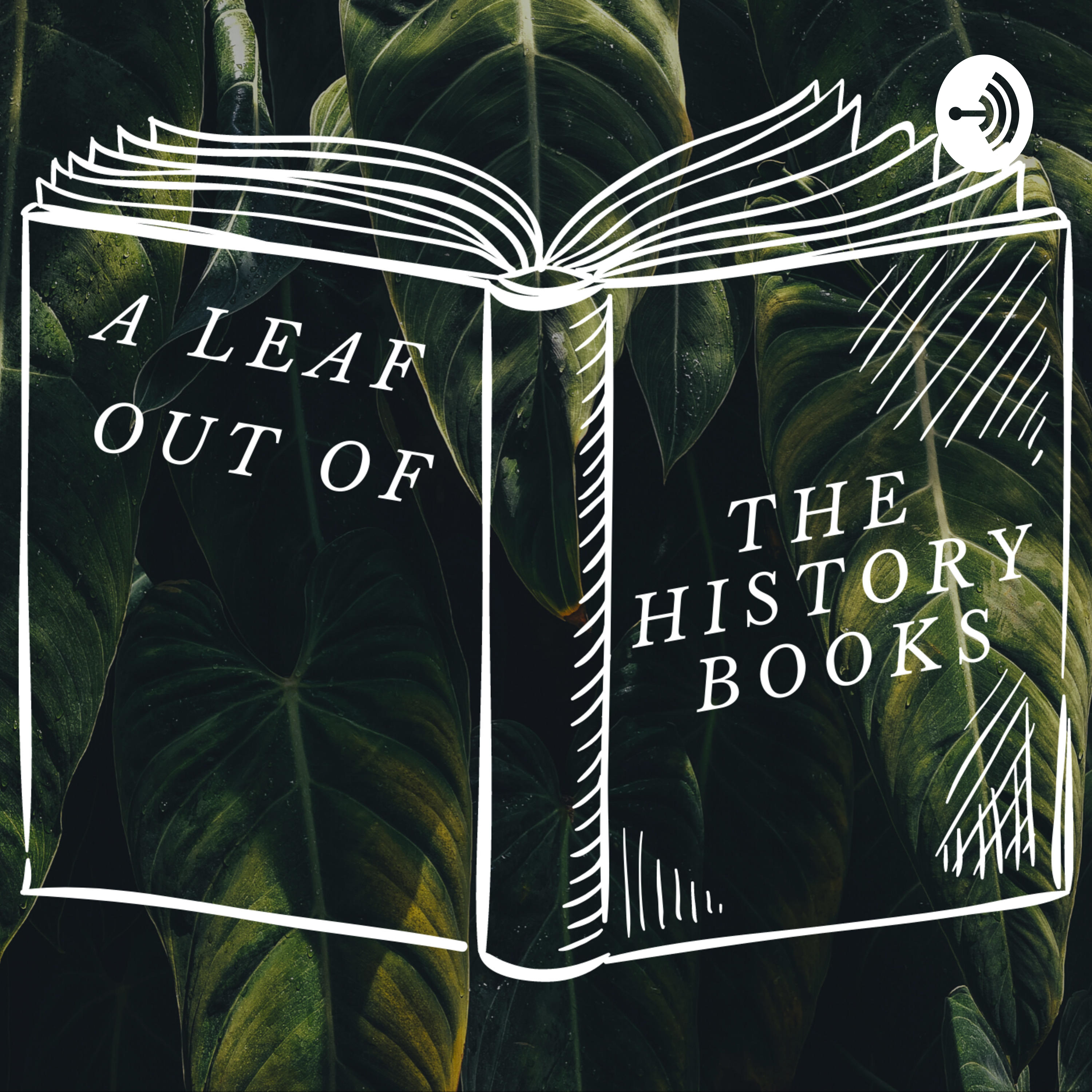 A leaf out of the History books