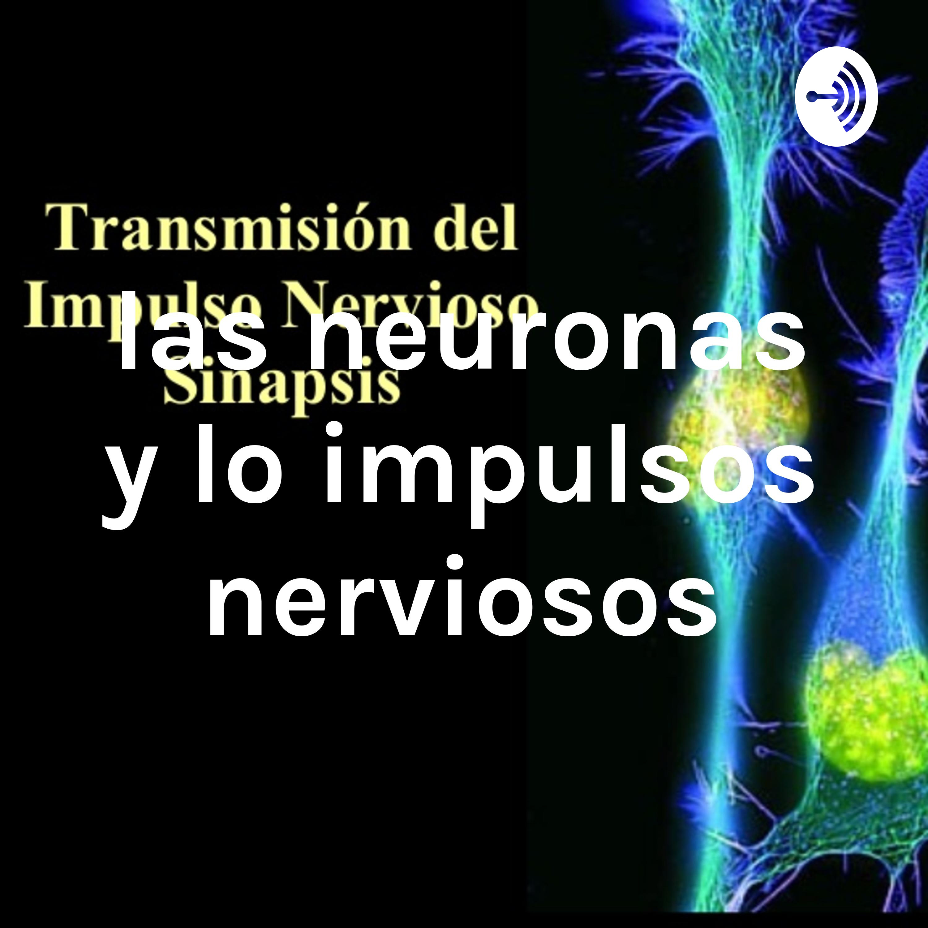 Las neuronas y lo impulsos nerviosos