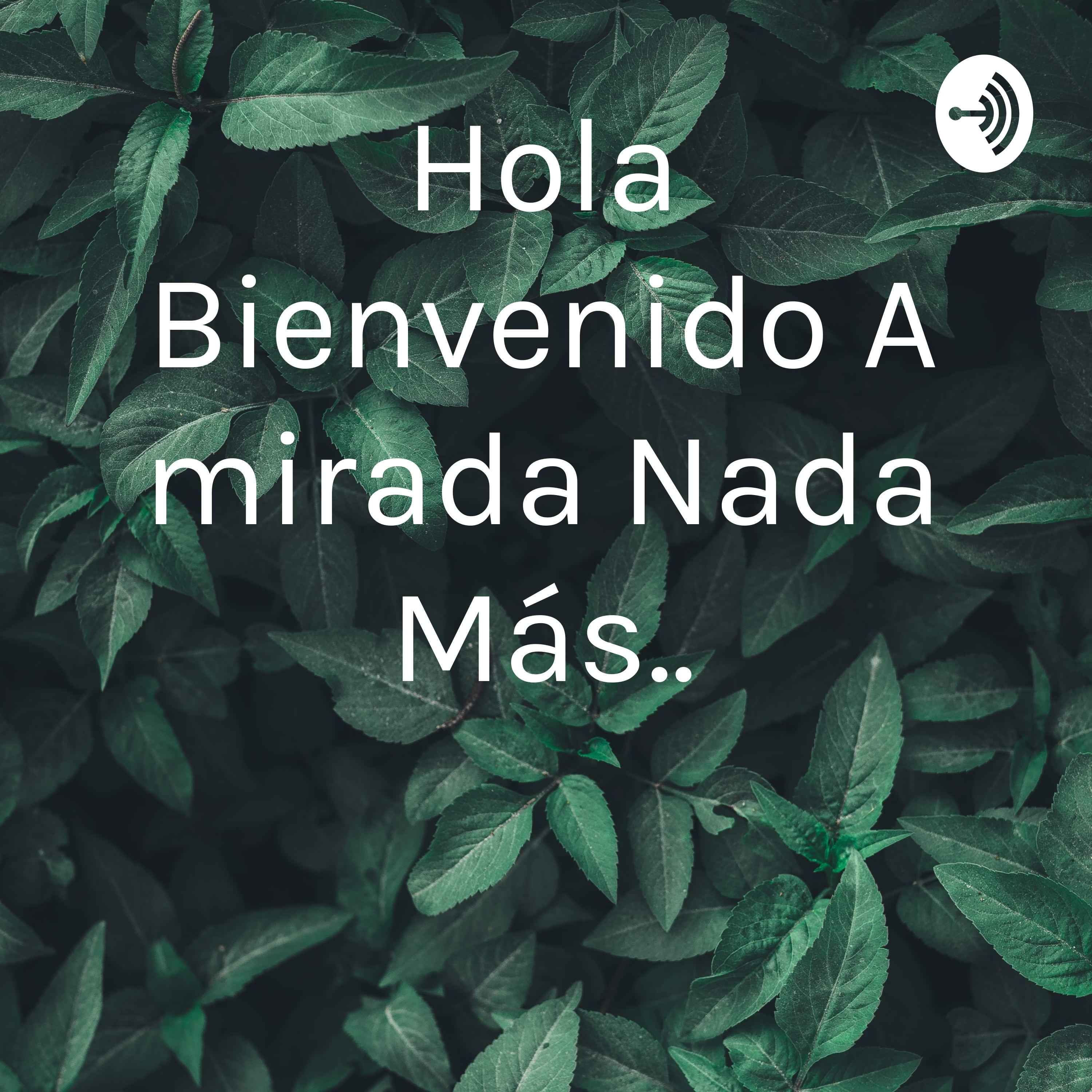 Hola Bienvenido A mirada Nada Más..
