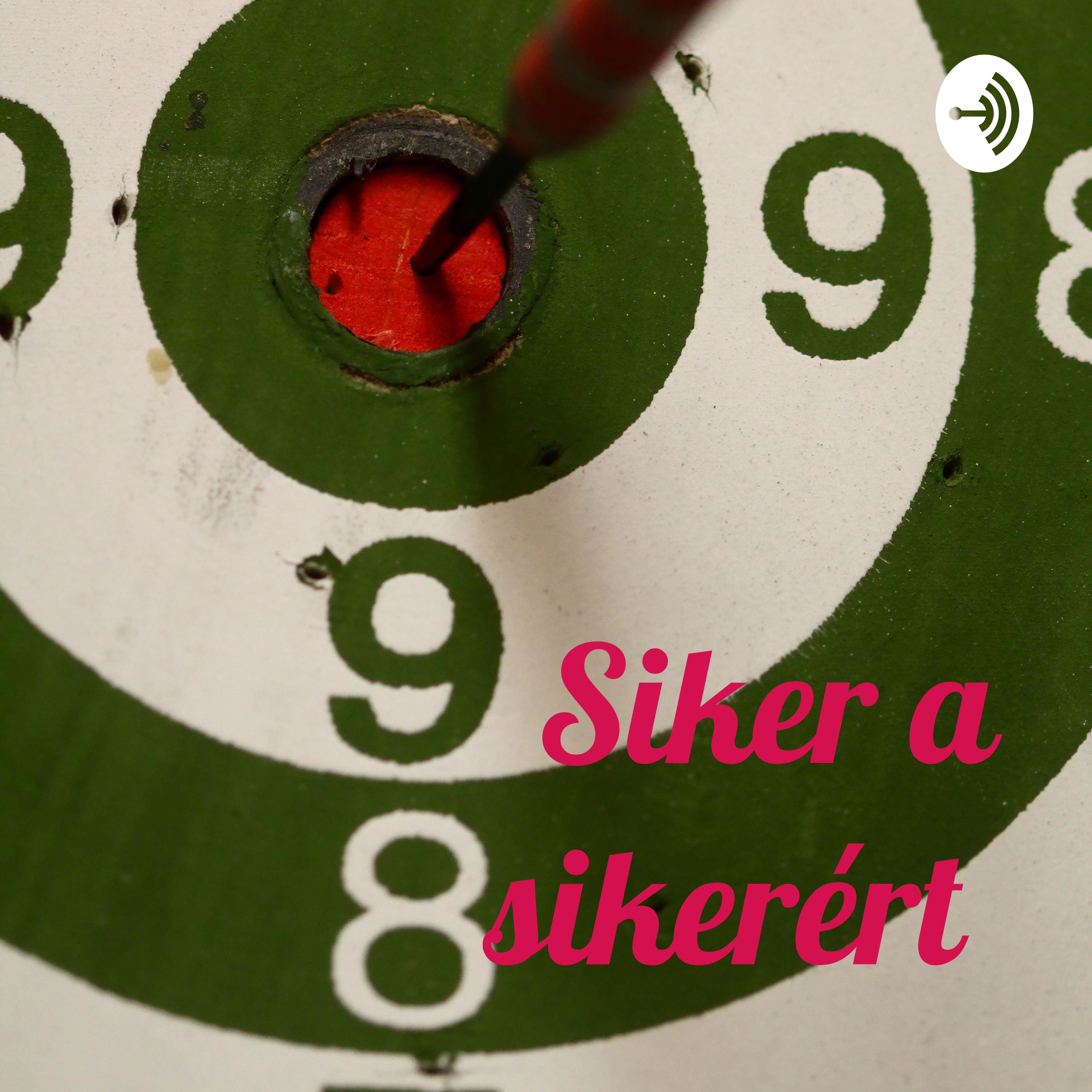 Siker a sikerért cover art