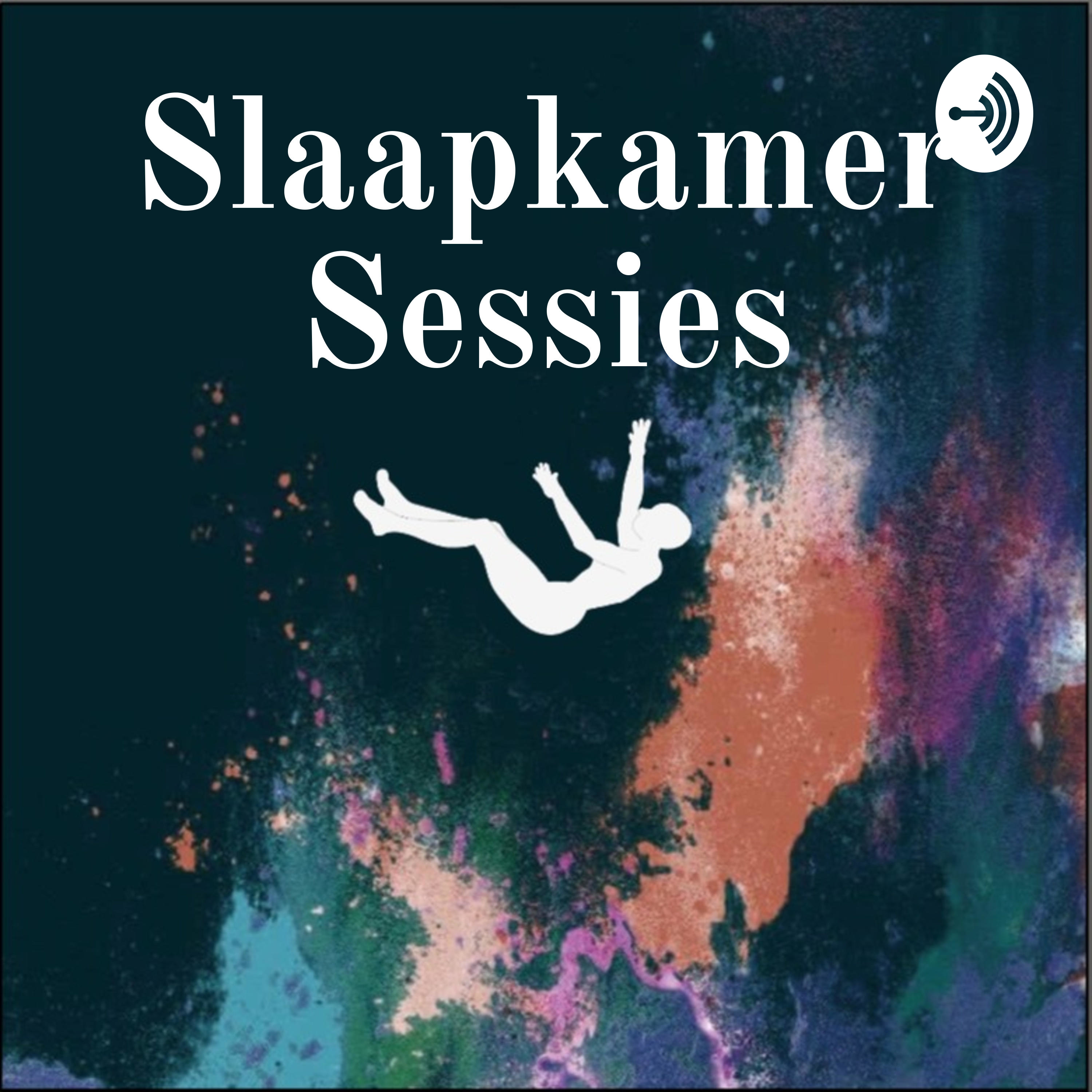 Slaapkamer Sessies cover art
