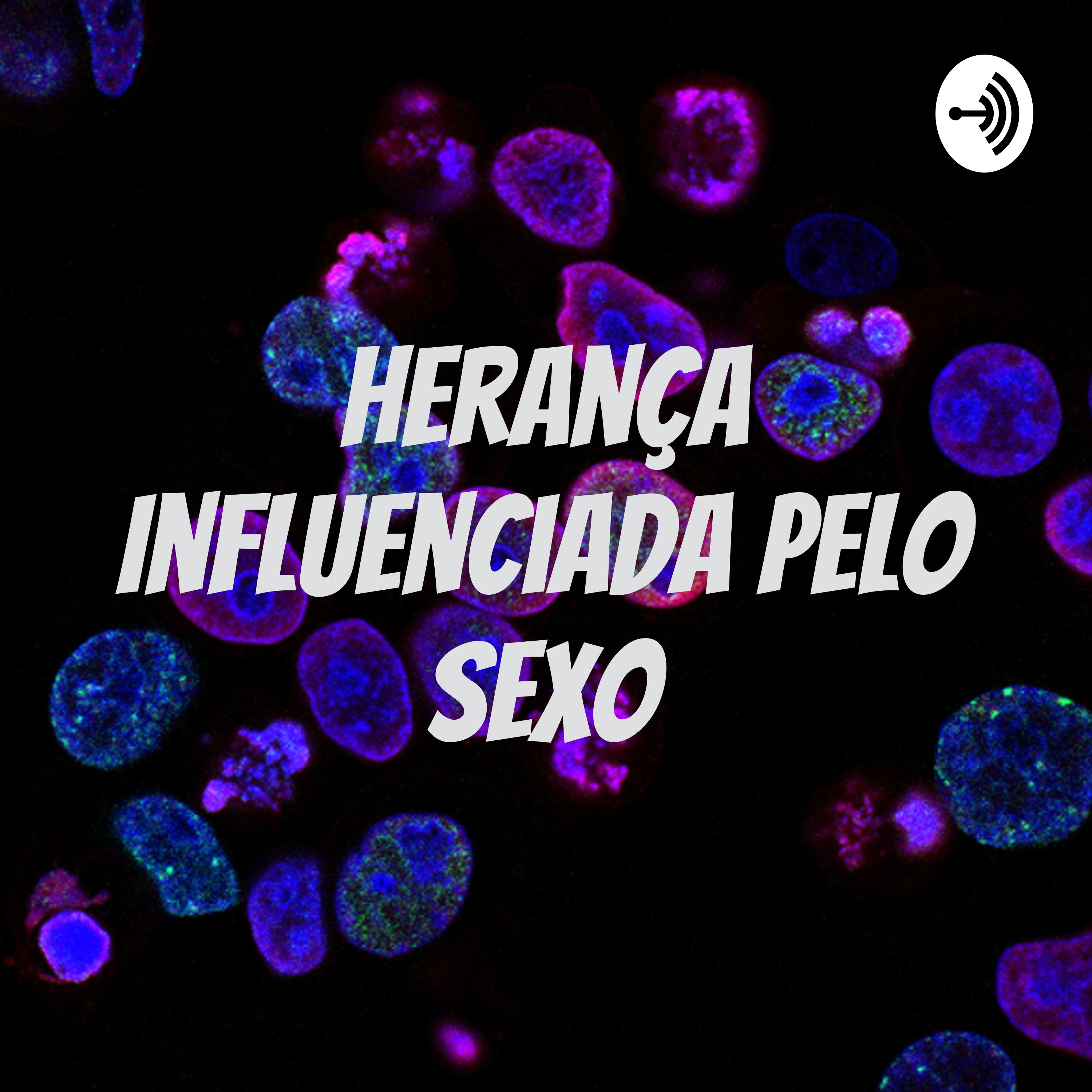 Herança Influenciada Pelo Sexo