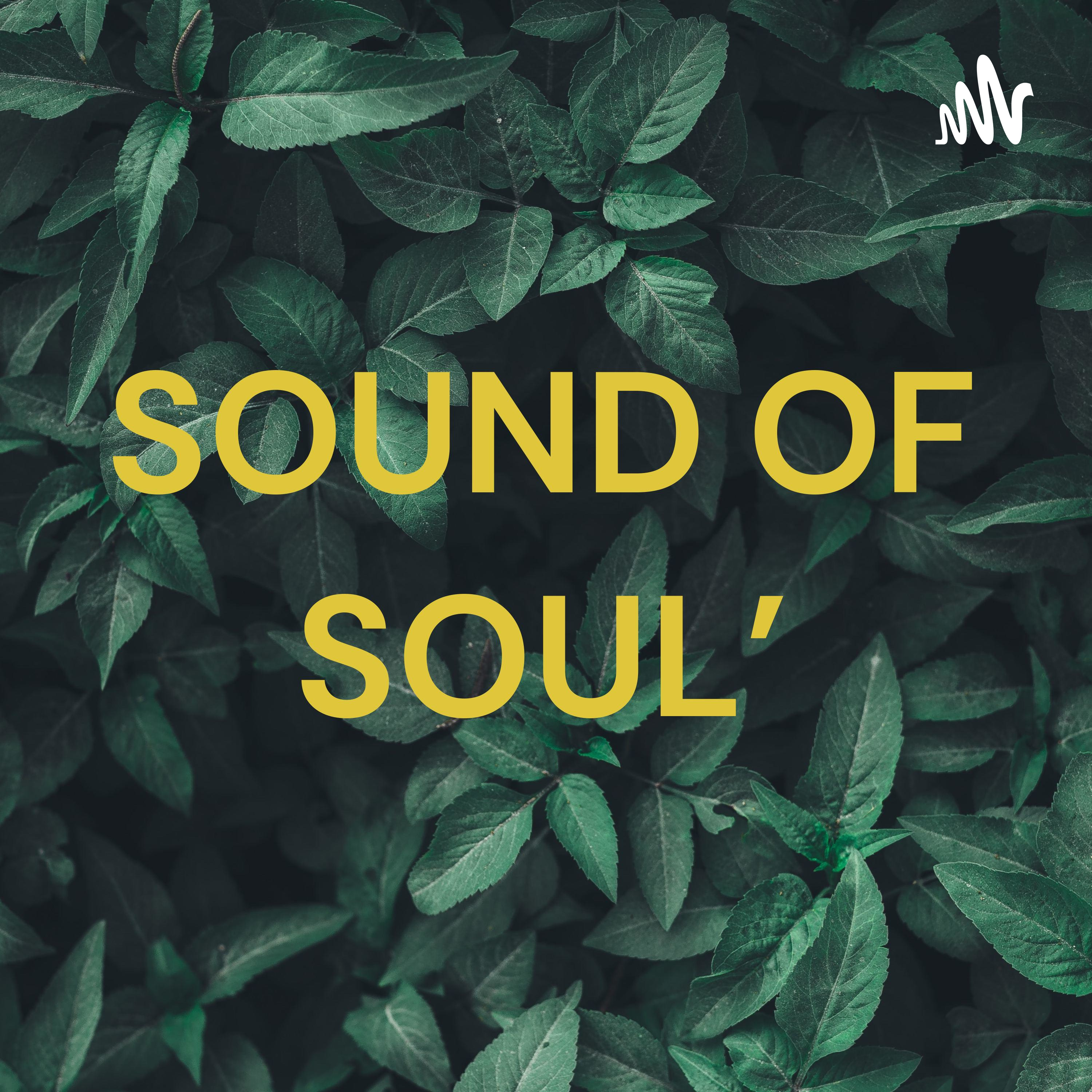 SOUND OF SOUL\'