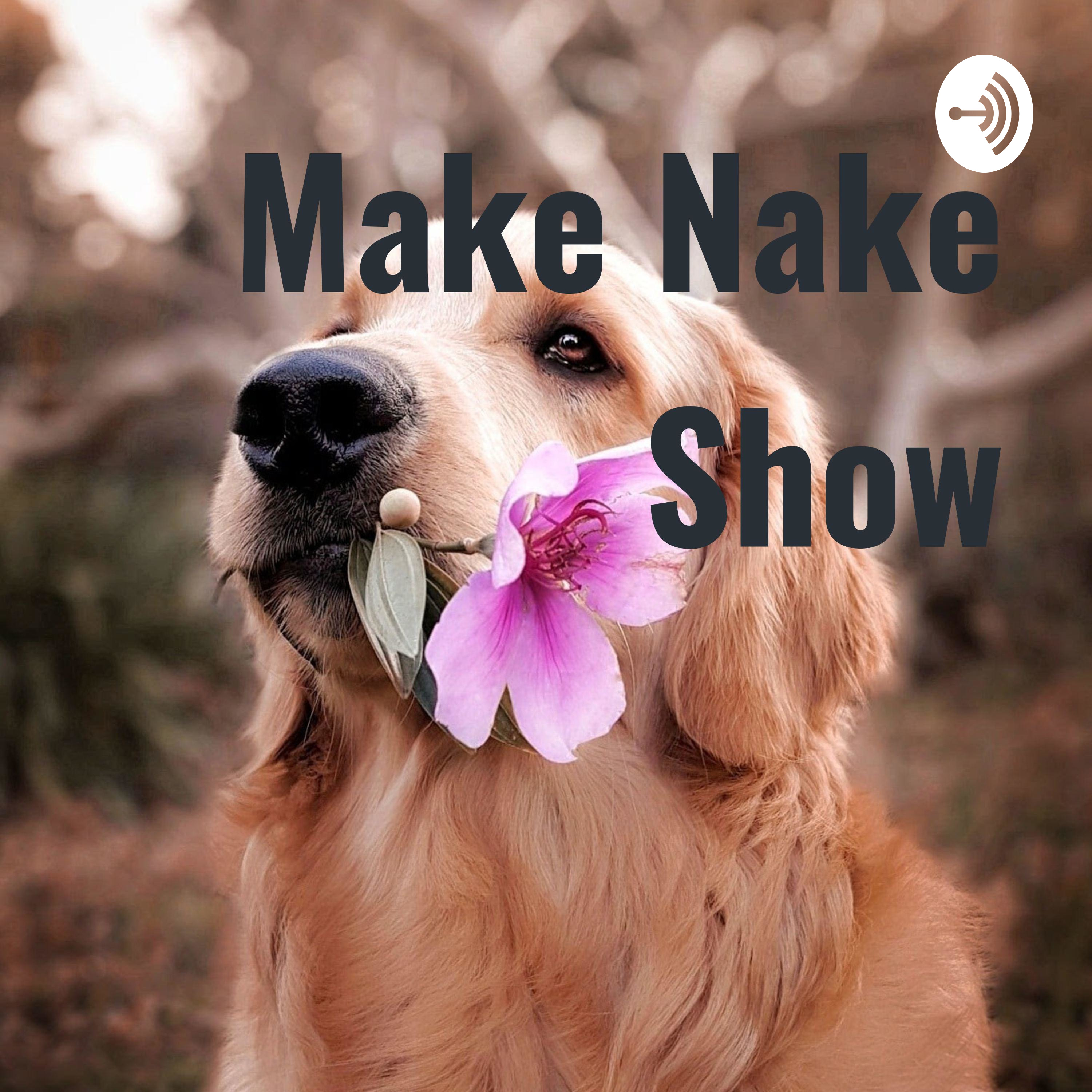 Make Nake Show podcast artwork