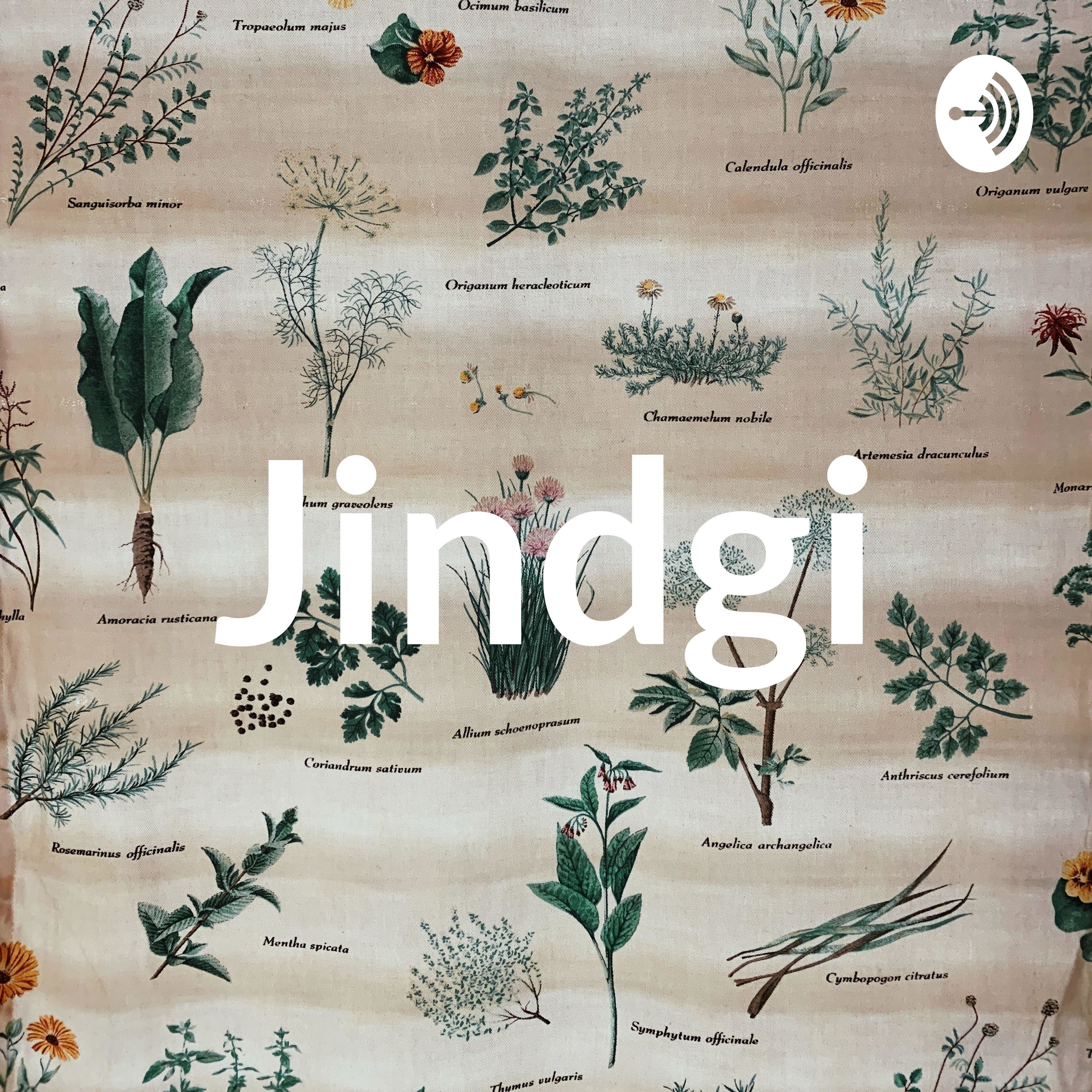 Jindgi