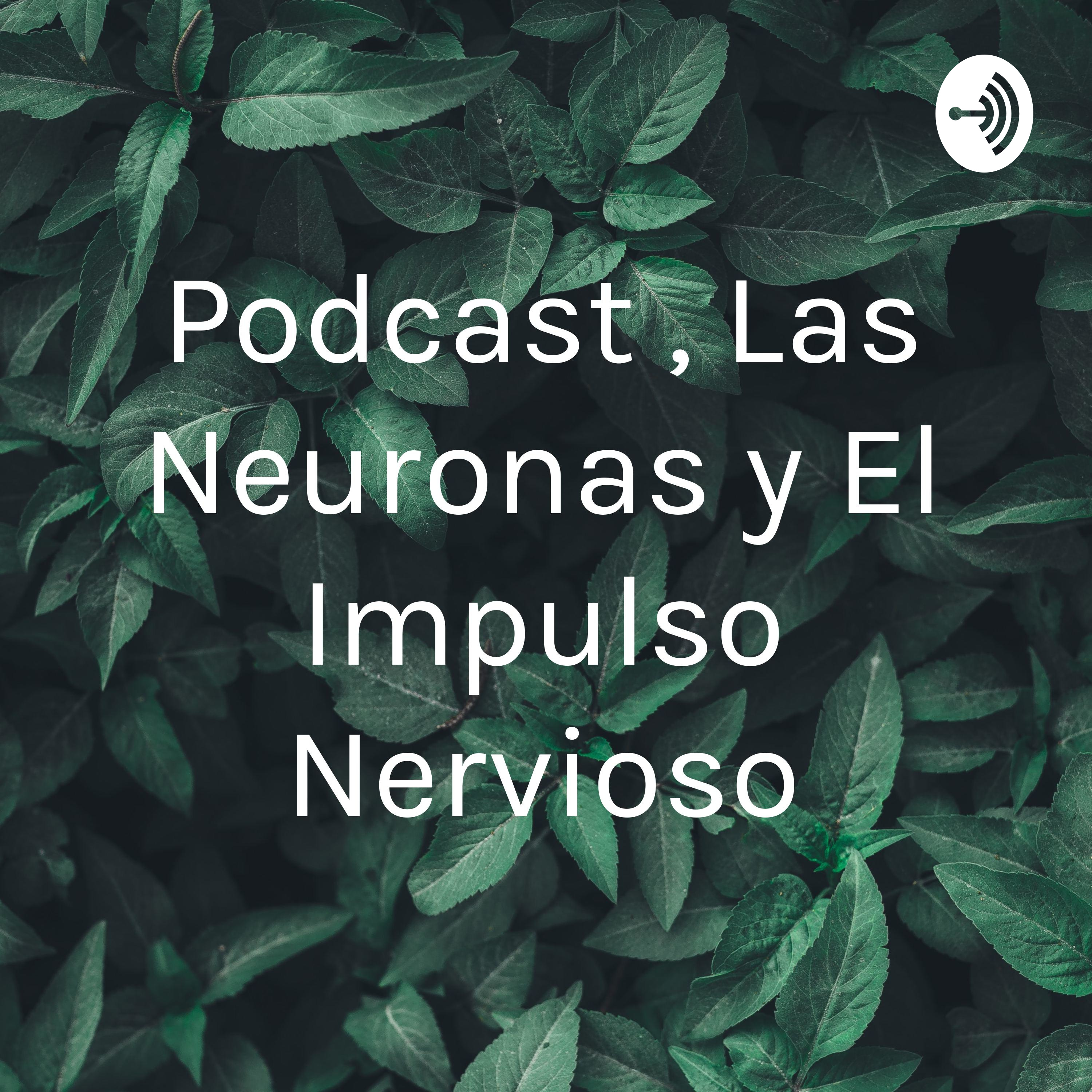 Podcast , Las Neuronas y El Impulso Nervioso