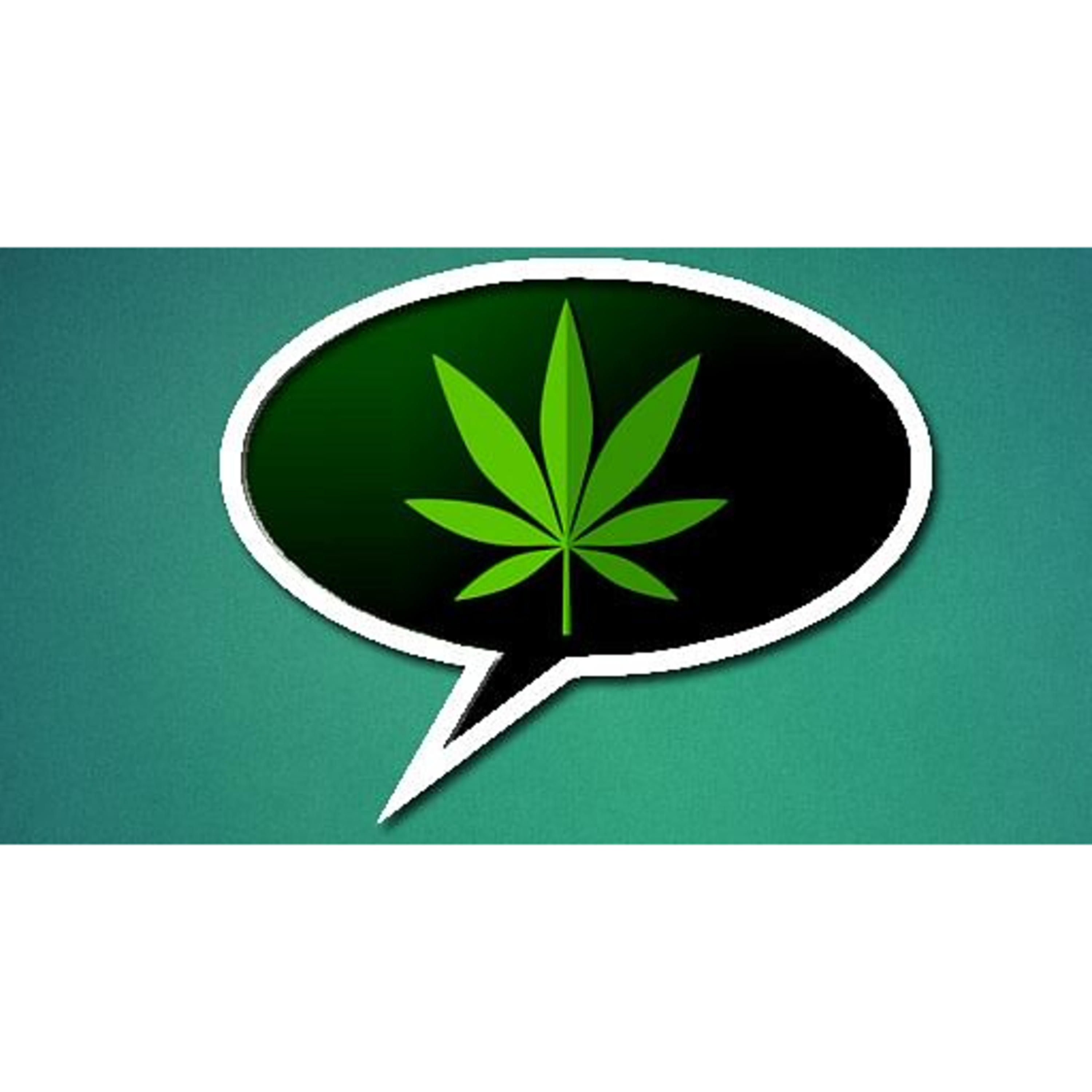 Chronic Conversations cover art